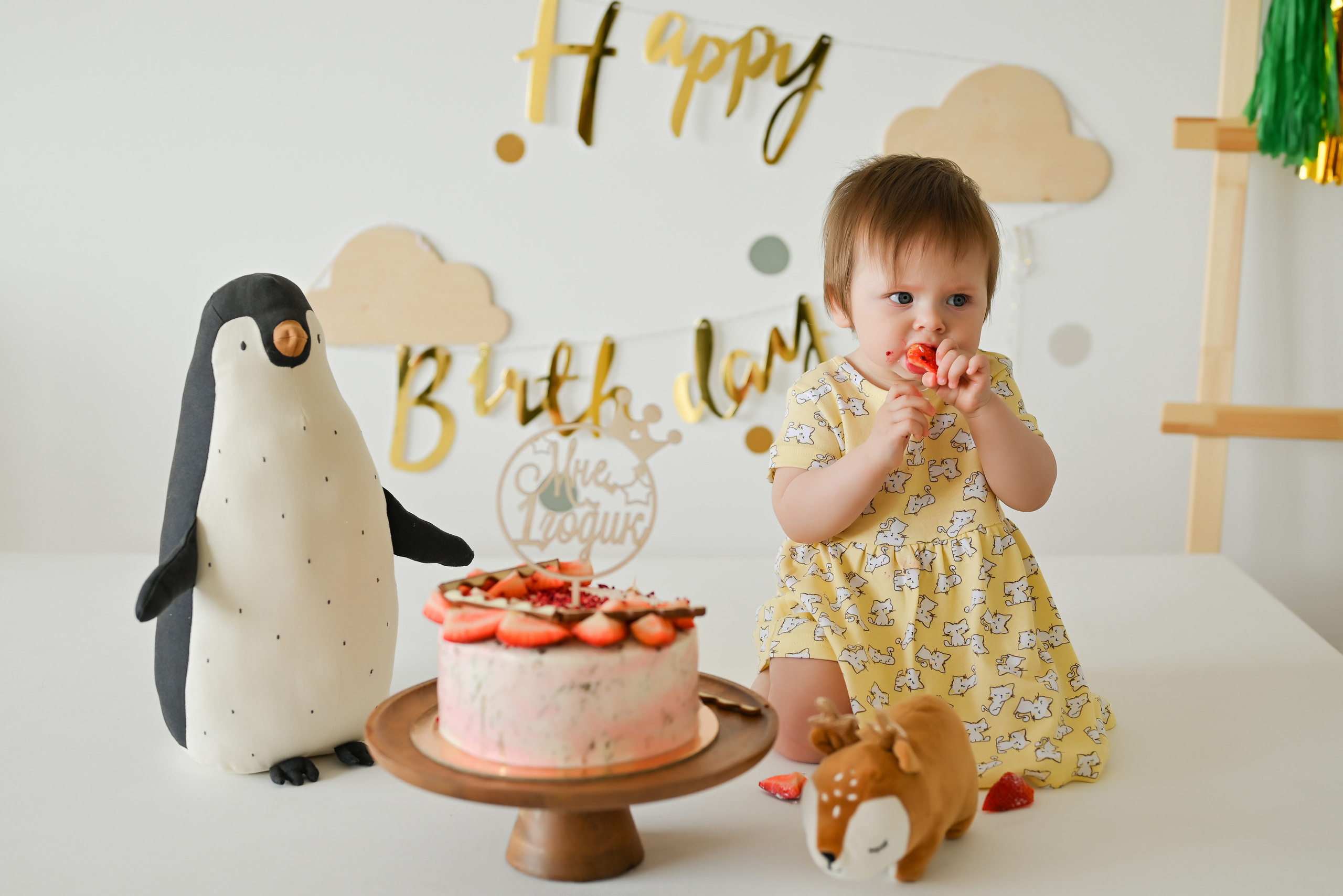 «Мне 1 годик». Свадебный и семейный фотограф в Уфе Александров Максим