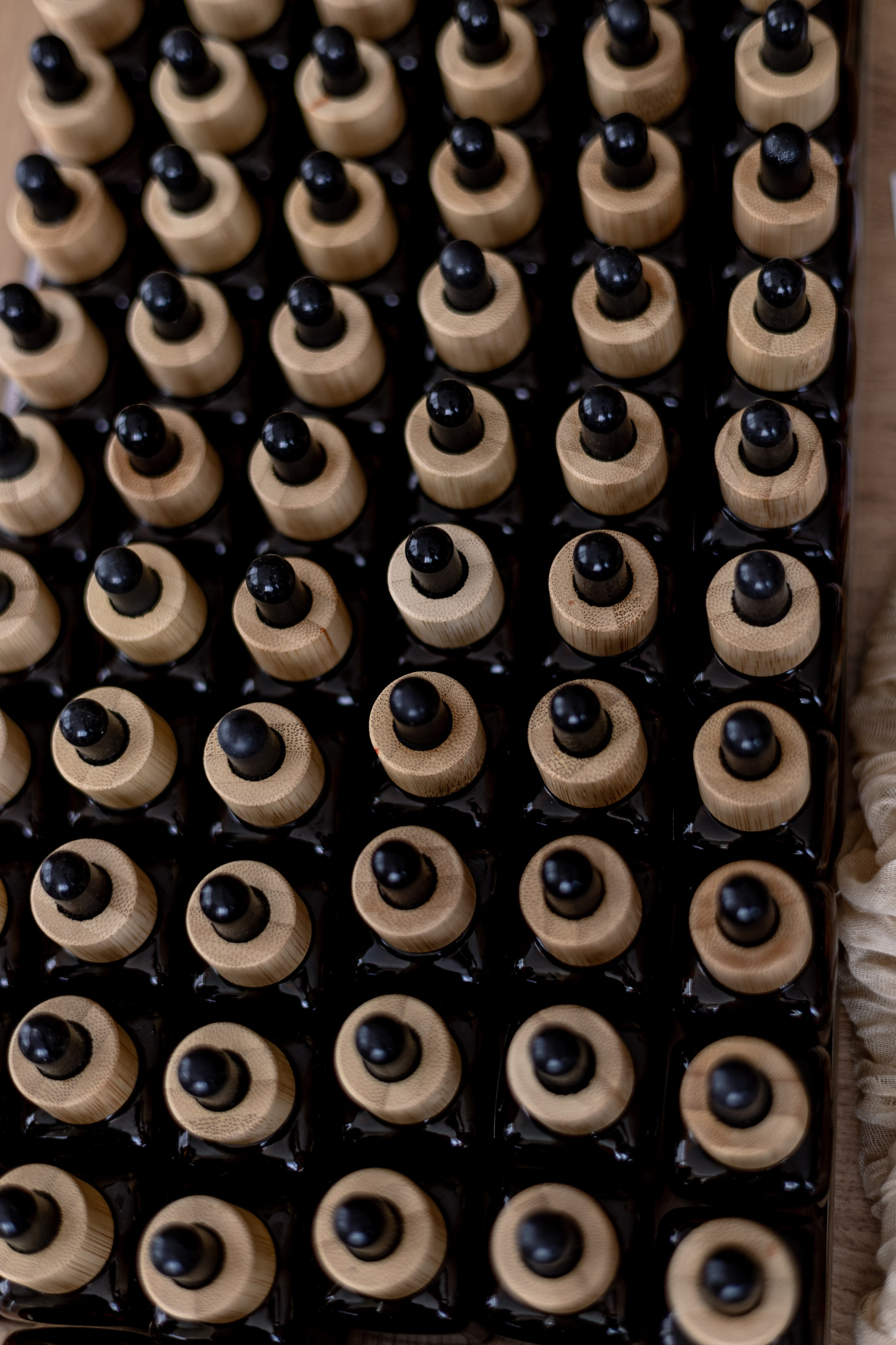 Aroma. Anastasia Leonowa