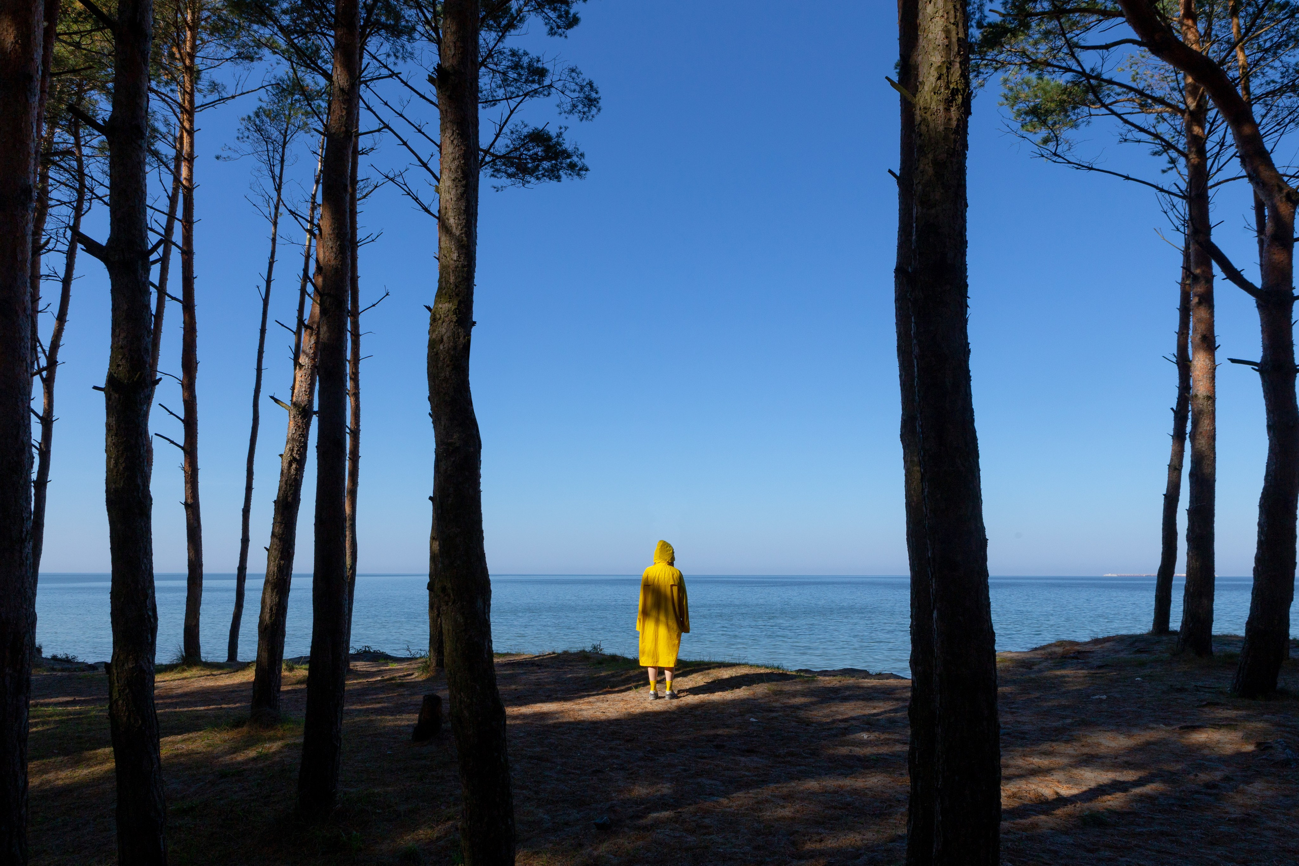 Фотографии Саши Любина