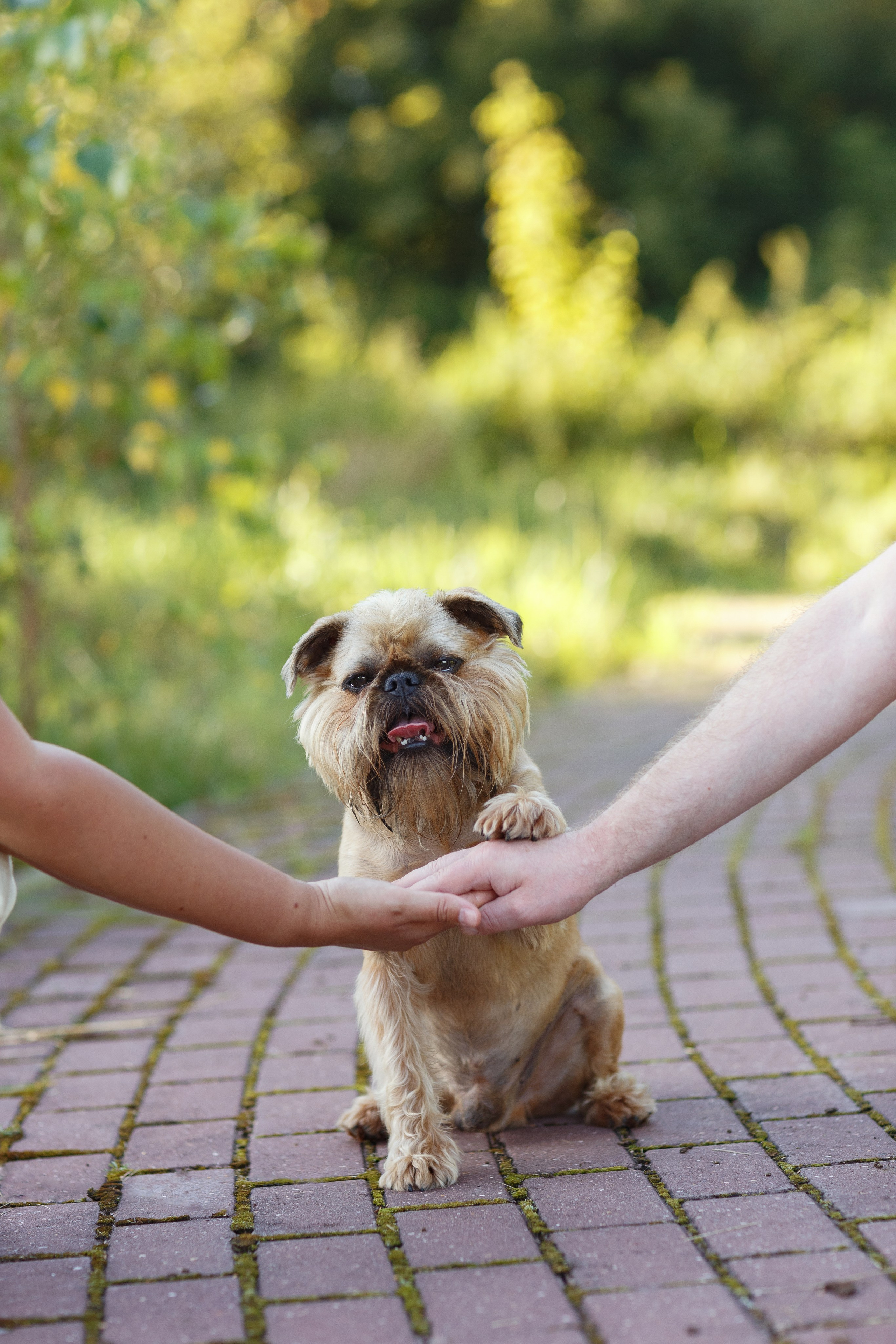 Лена и Барри. Фотограф — Анималист Наталья Тямушева
