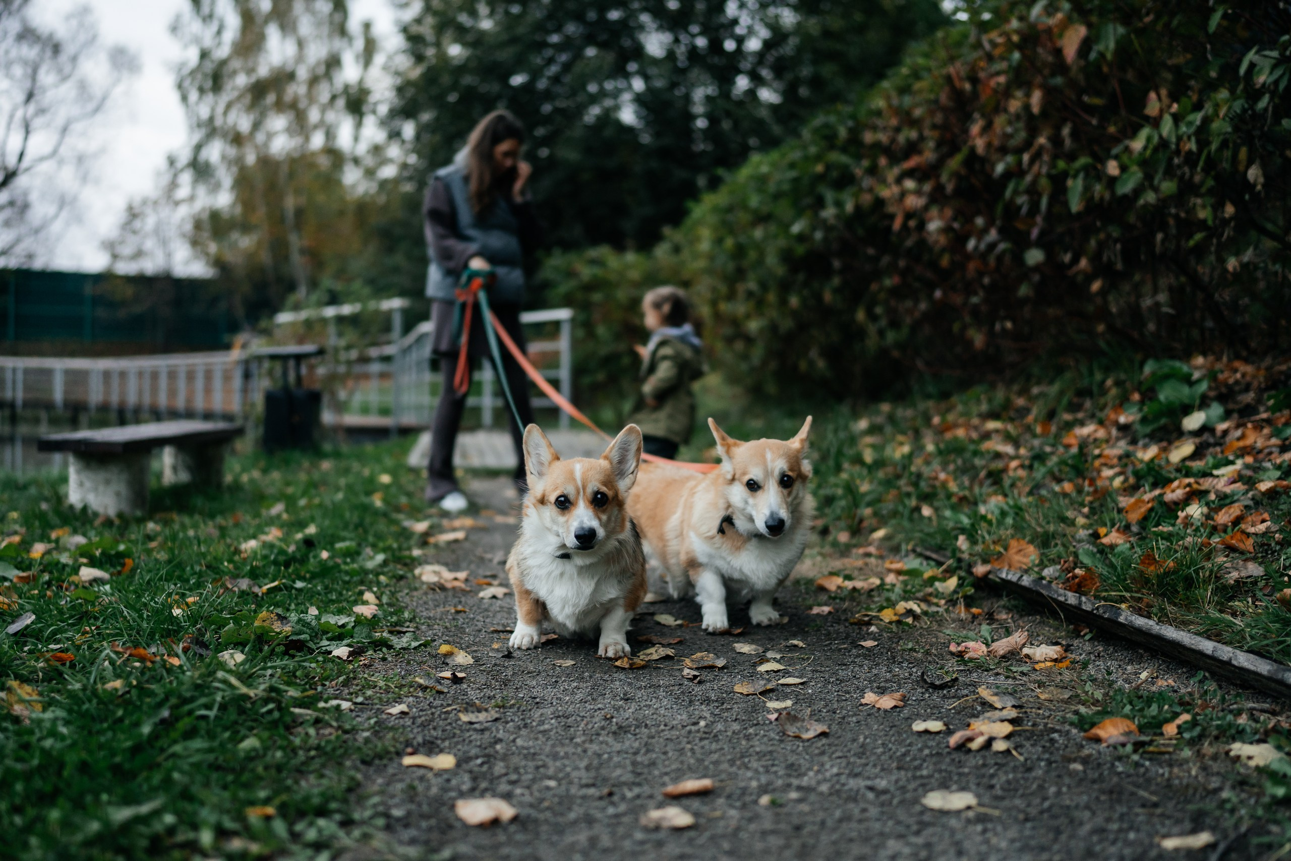 Семейная фотосессия в парке. Семейный фотограф в Москве Ирина Жур