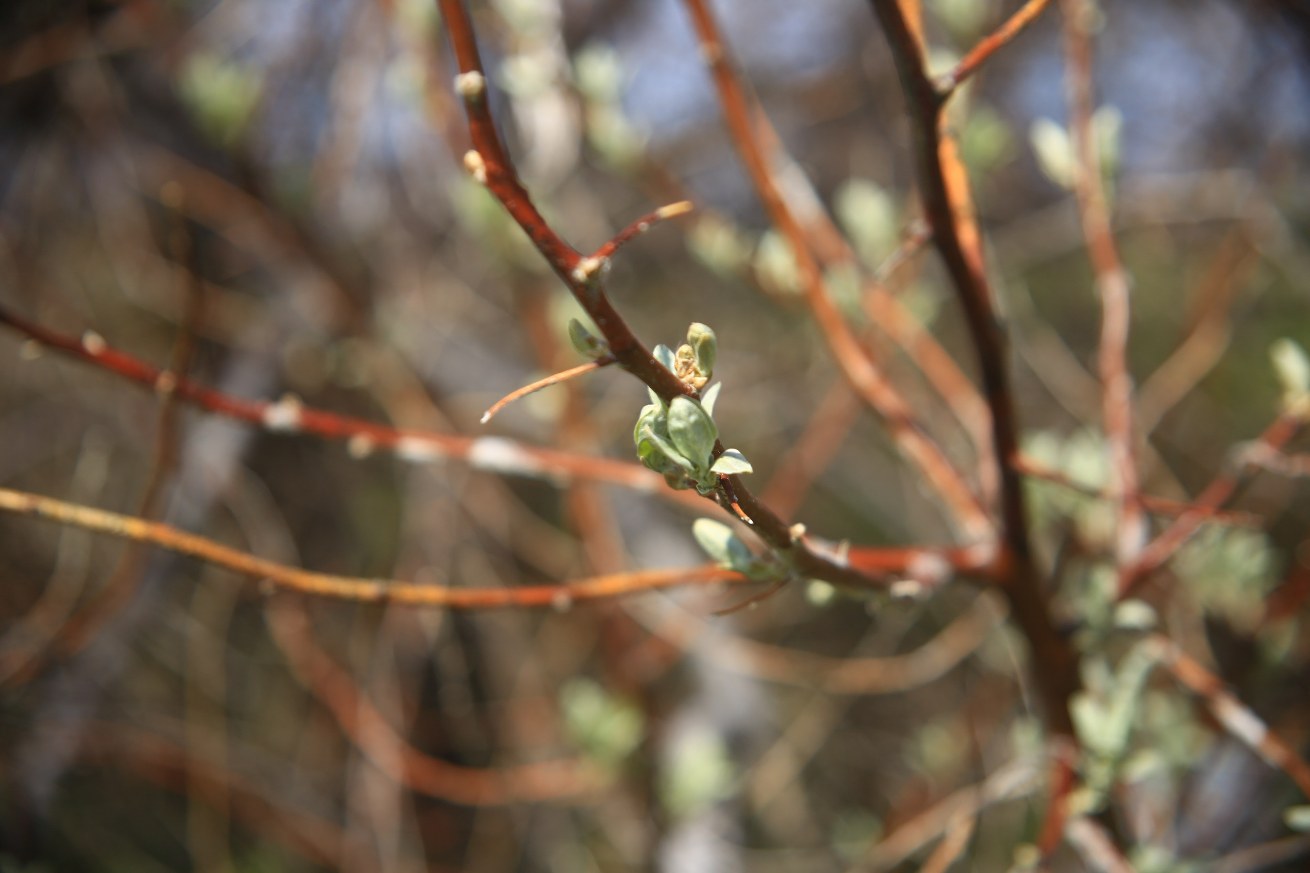 Всё, что я вижу вокруг себя