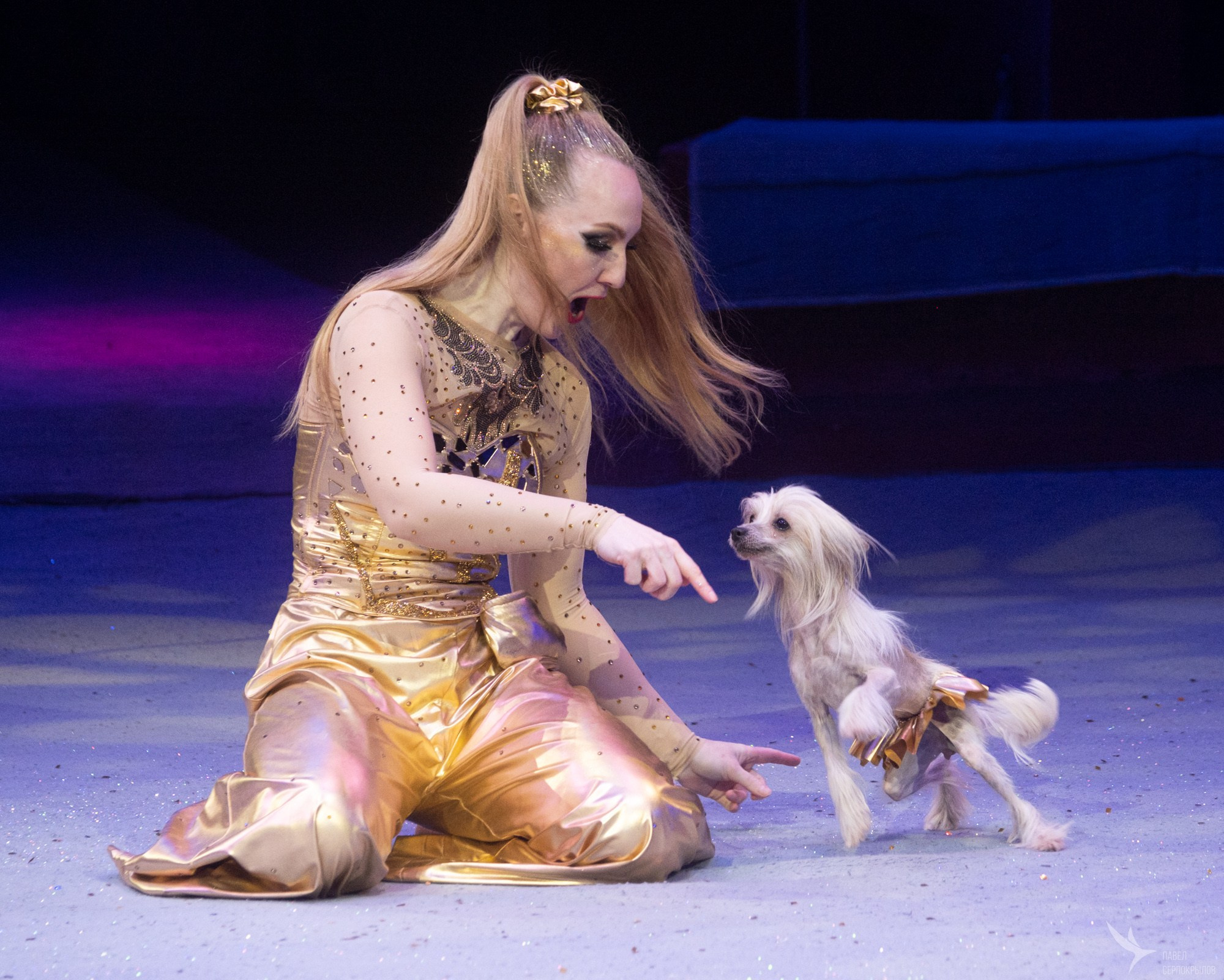 Гала-представление ЭВОЛЮЦИОНЕРЫ. Репортажный фотограф в Казани Павел Серпокрылов