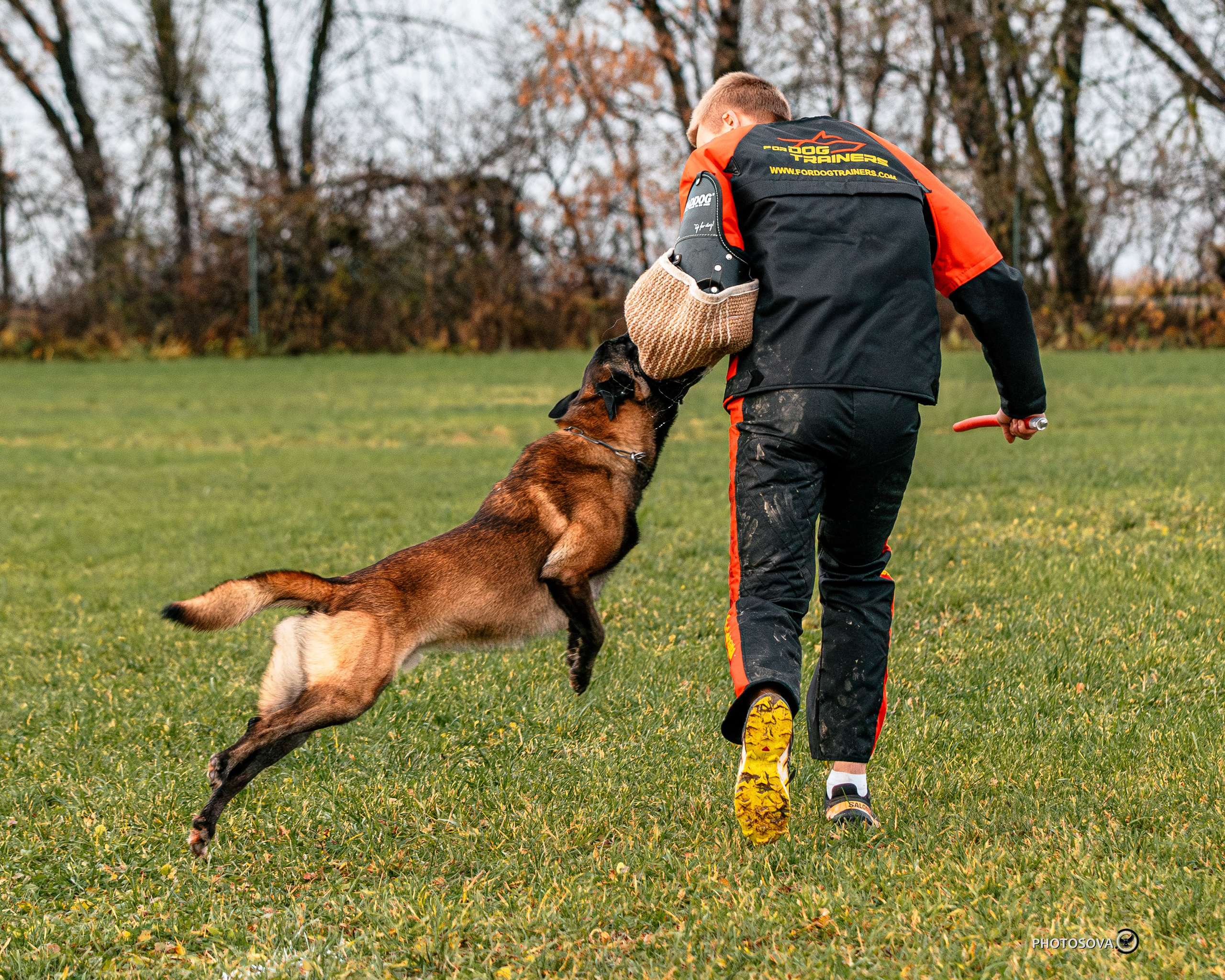 МЫ — КОМАНДА (соревнования) OKD, BH, IBGH, IGP. Фотограф-анималист, семейный фотограф в Москве и Подмосковье. Фотосъёмка кинологических дисциплин