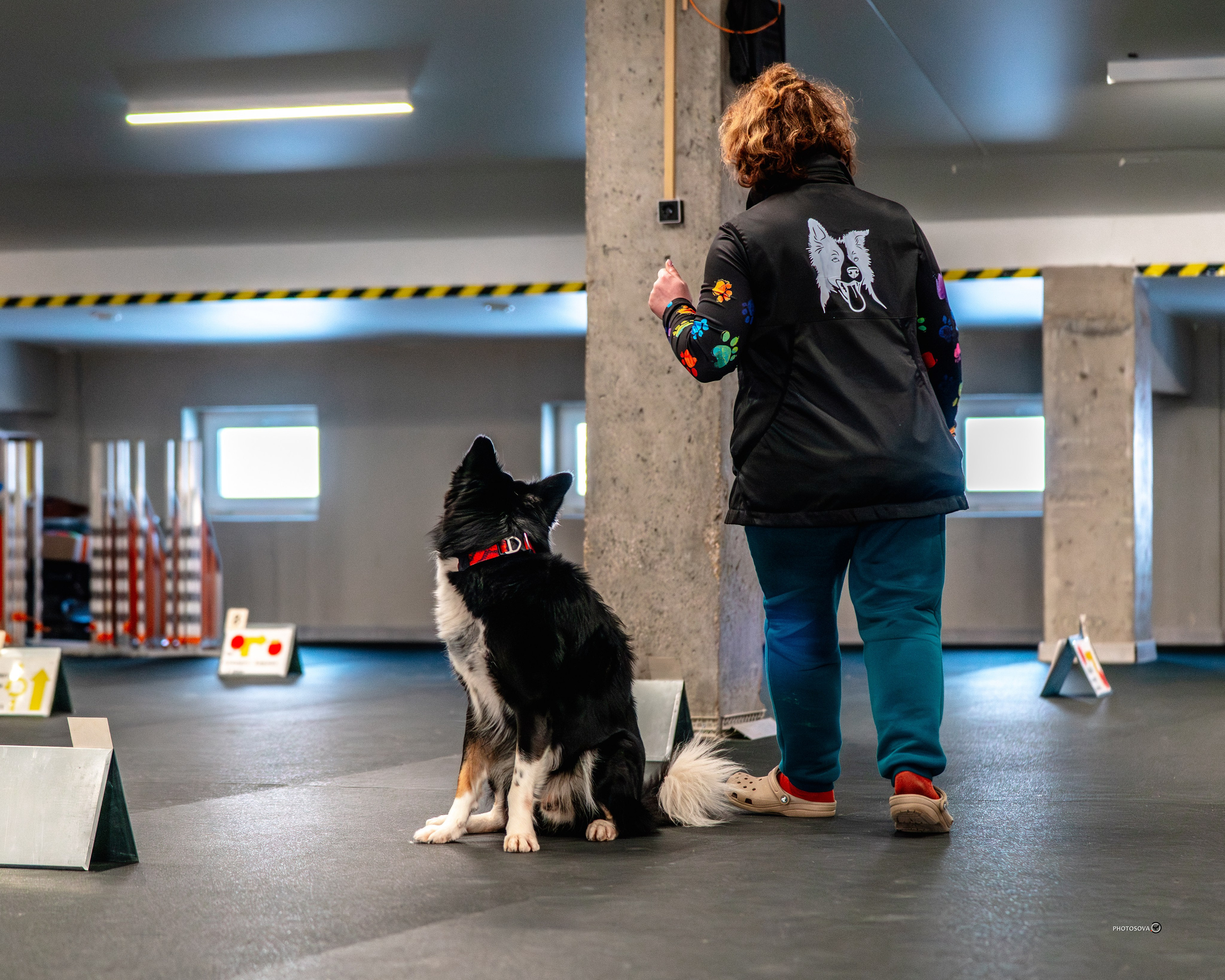 ТЫ И Я (соревнования по ралли-обидиенс). Фотограф-анималист, семейный фотограф в Москве и Подмосковье. Фотосъёмка кинологических дисциплин