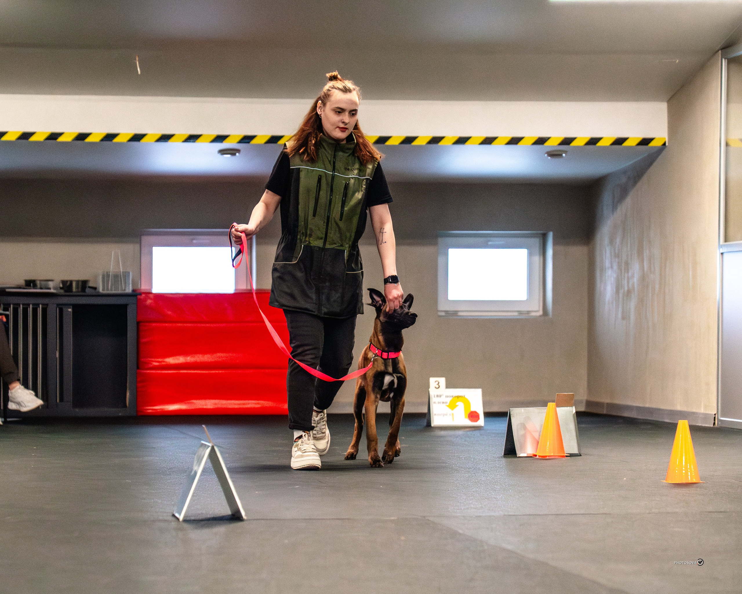 ТЫ И Я (соревнования по ралли-обидиенс). Фотограф-анималист, семейный фотограф в Москве и Подмосковье. Фотосъёмка кинологических дисциплин