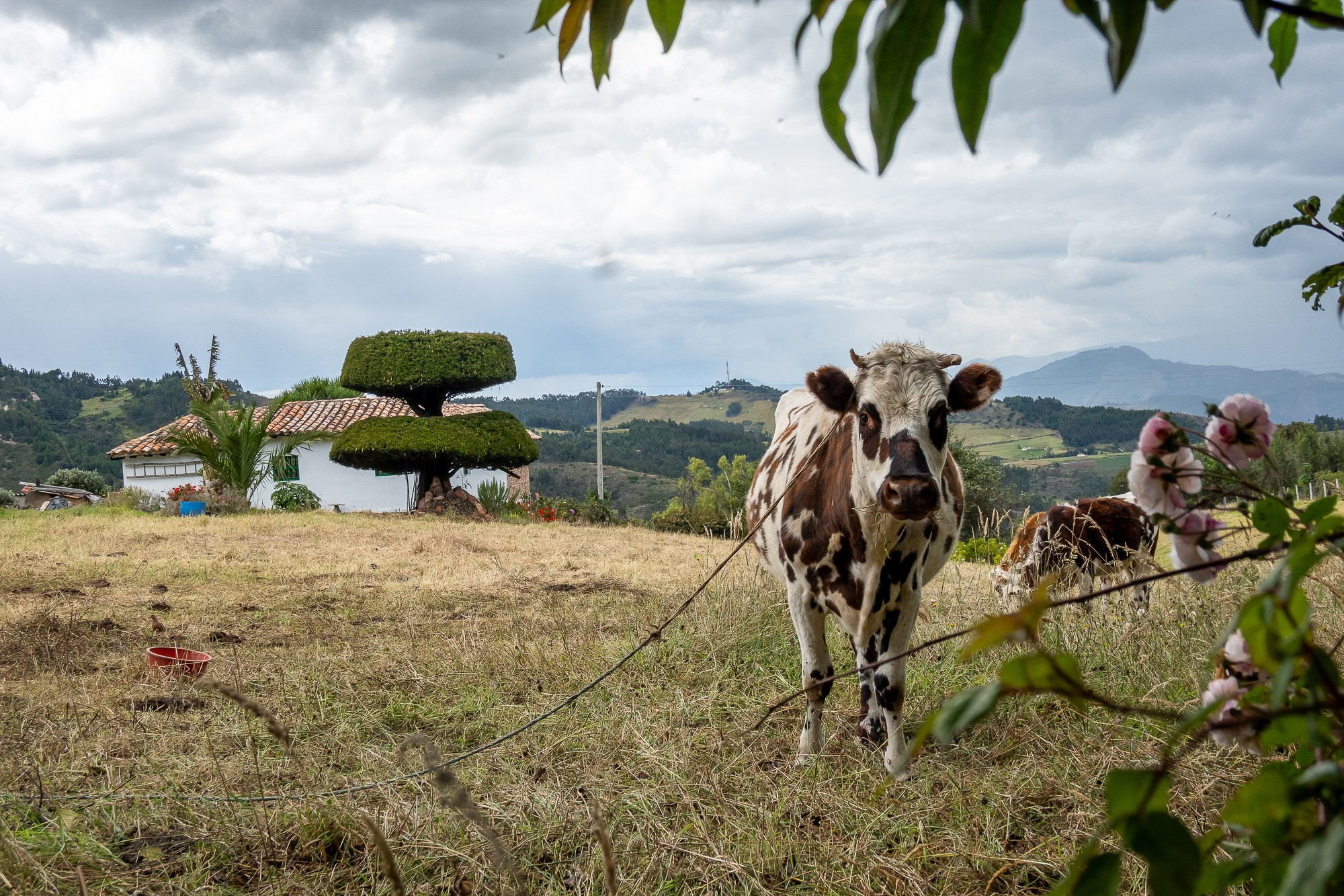 Монги (Mongui). Колумбия (Colombia). Фотограф Алексей Скоробогатько