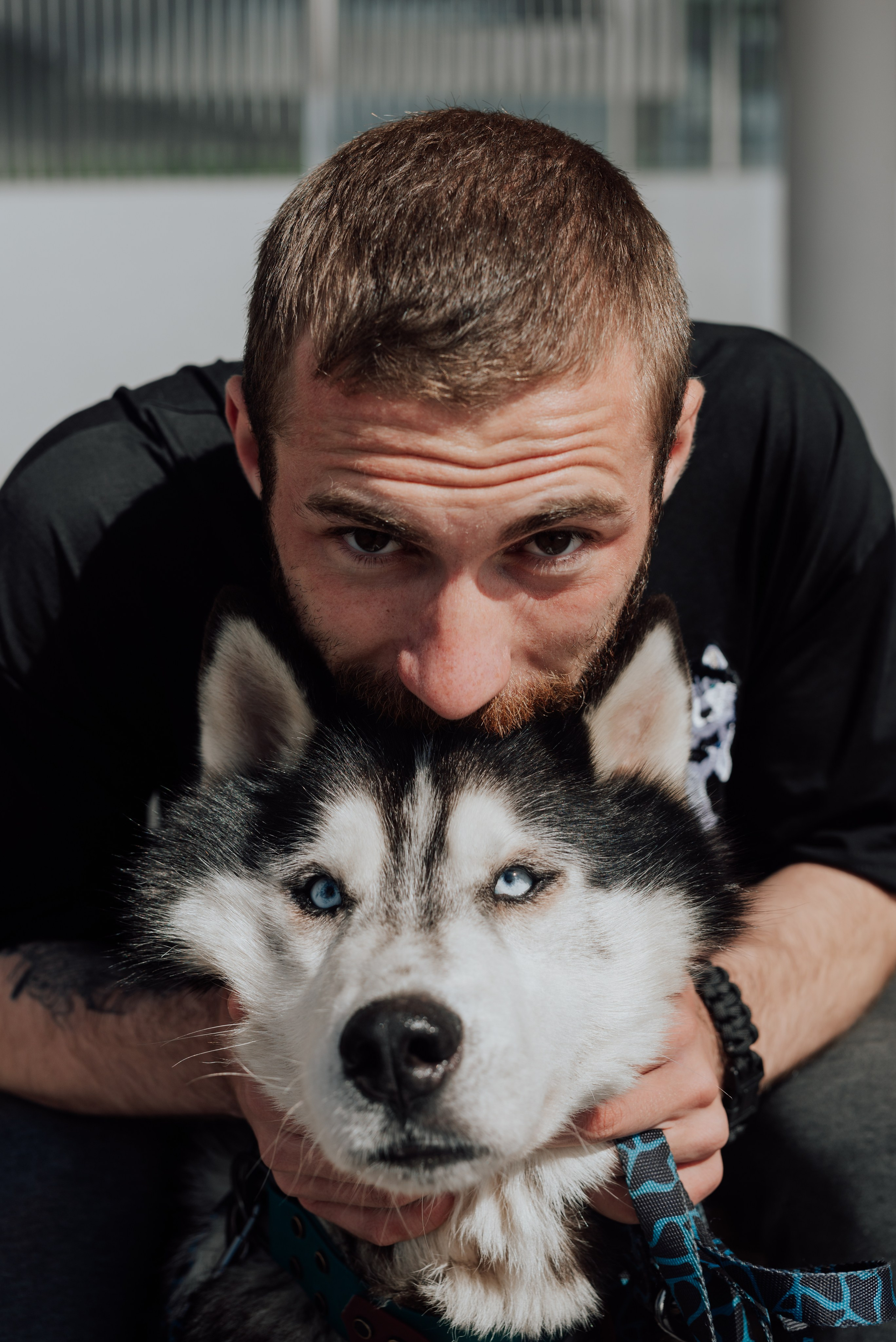 Фотодень с хаски. Фотограф в Санкт-Петербурге и Ленинградской области