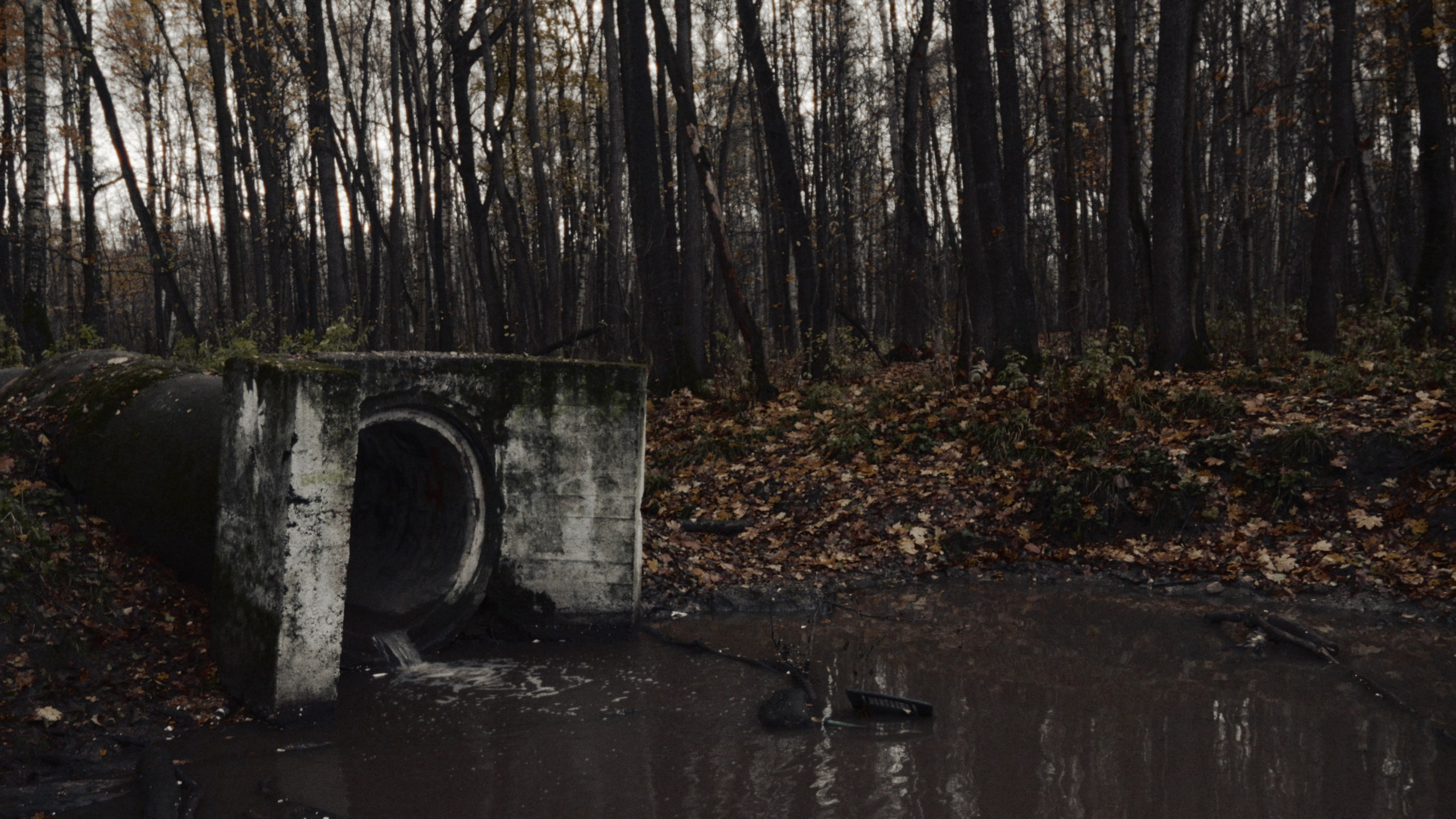 S.t.a.l.k.e.r. andrey — Реж. Тресков Александр, Леонид Соловьев, Георгий Трипута (Short Film). Колорист Евегений Воронин