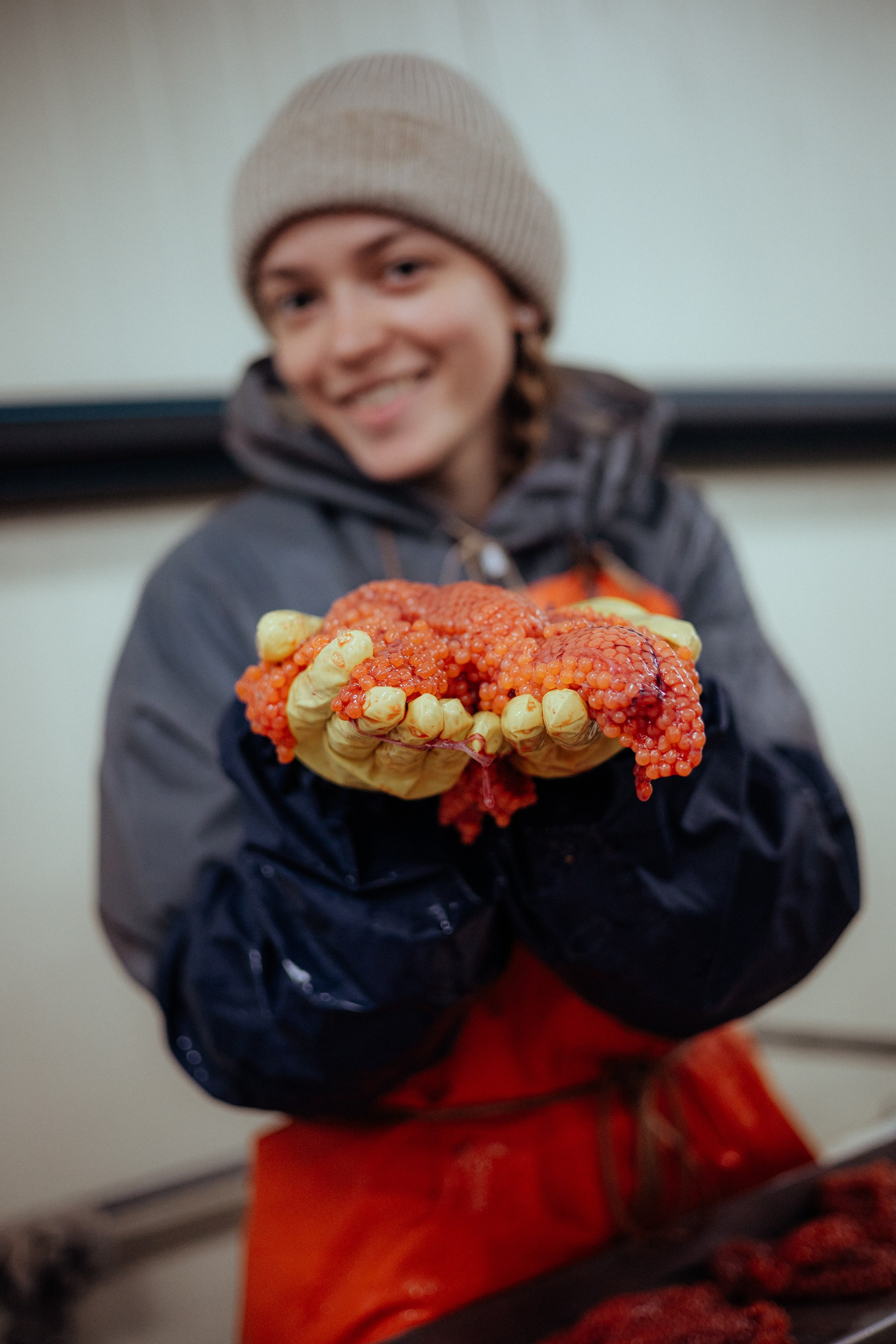 Ооо «лойд-фиш» | камчатка-2025