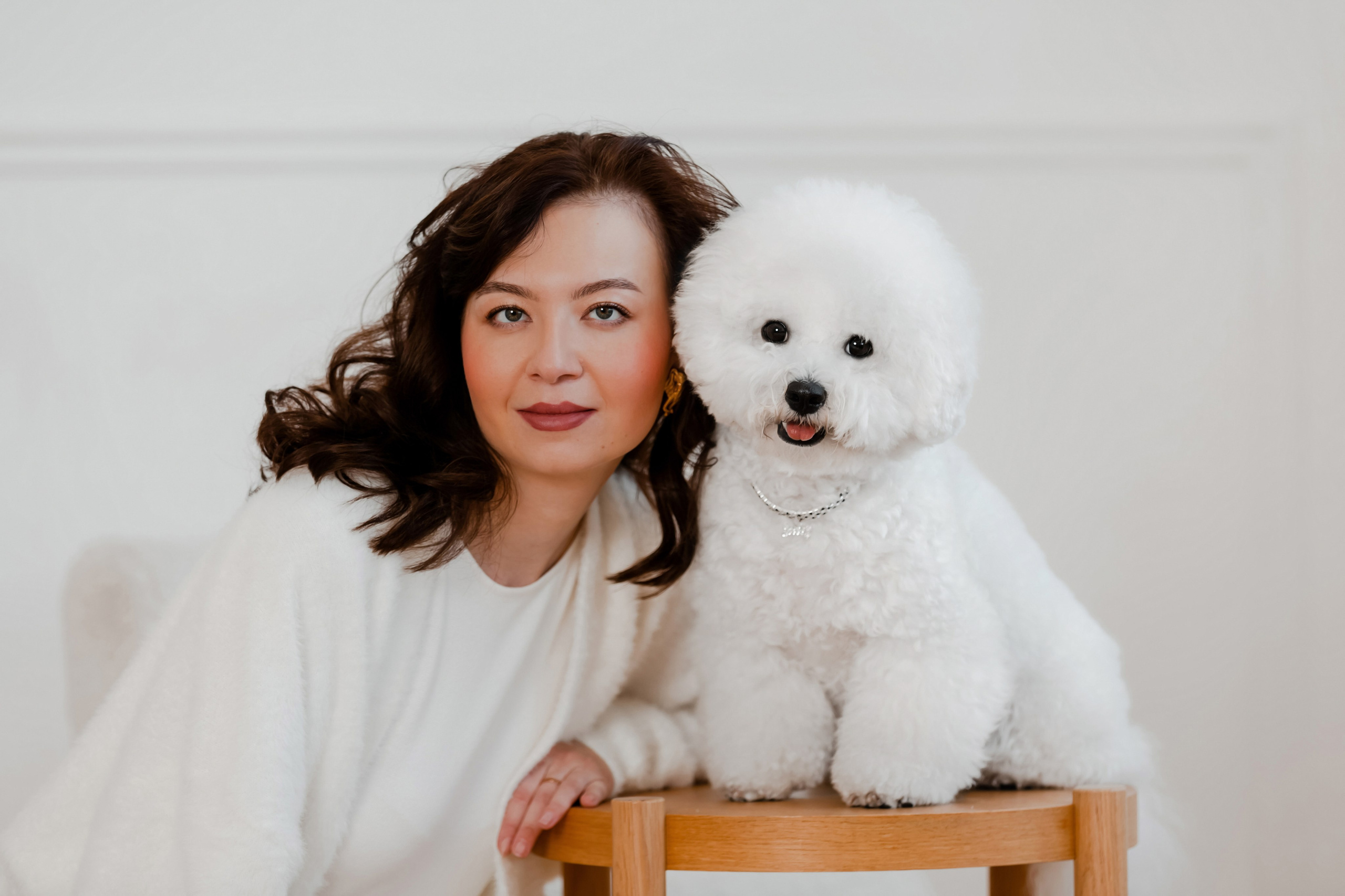 Бишон-фризе. Фотограф-анималист в Краснодаре Маша Мельникова