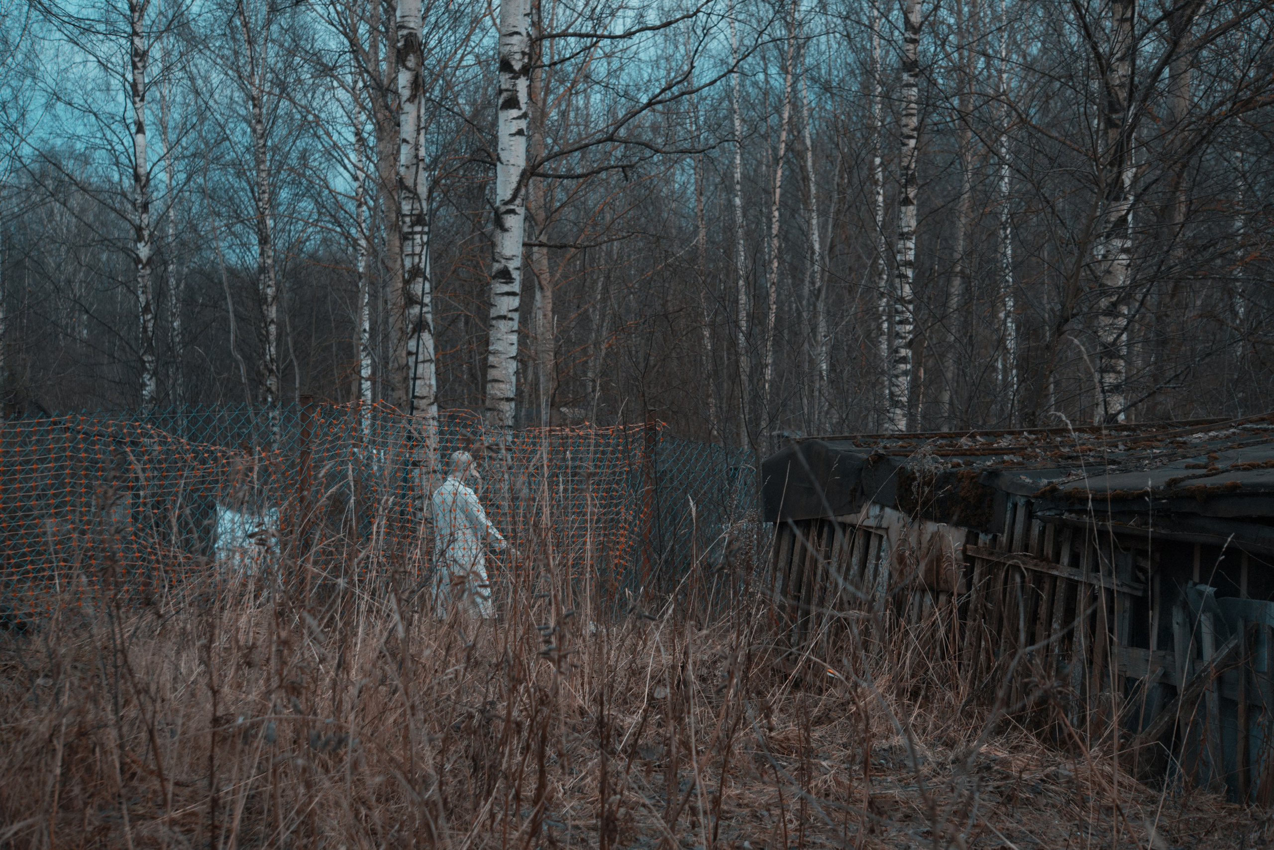 Bardo / Цветущие сны. Роман Ходырев — художник, фотограф, музыкант, эзотериолог. Санкт-Петербург, Рига