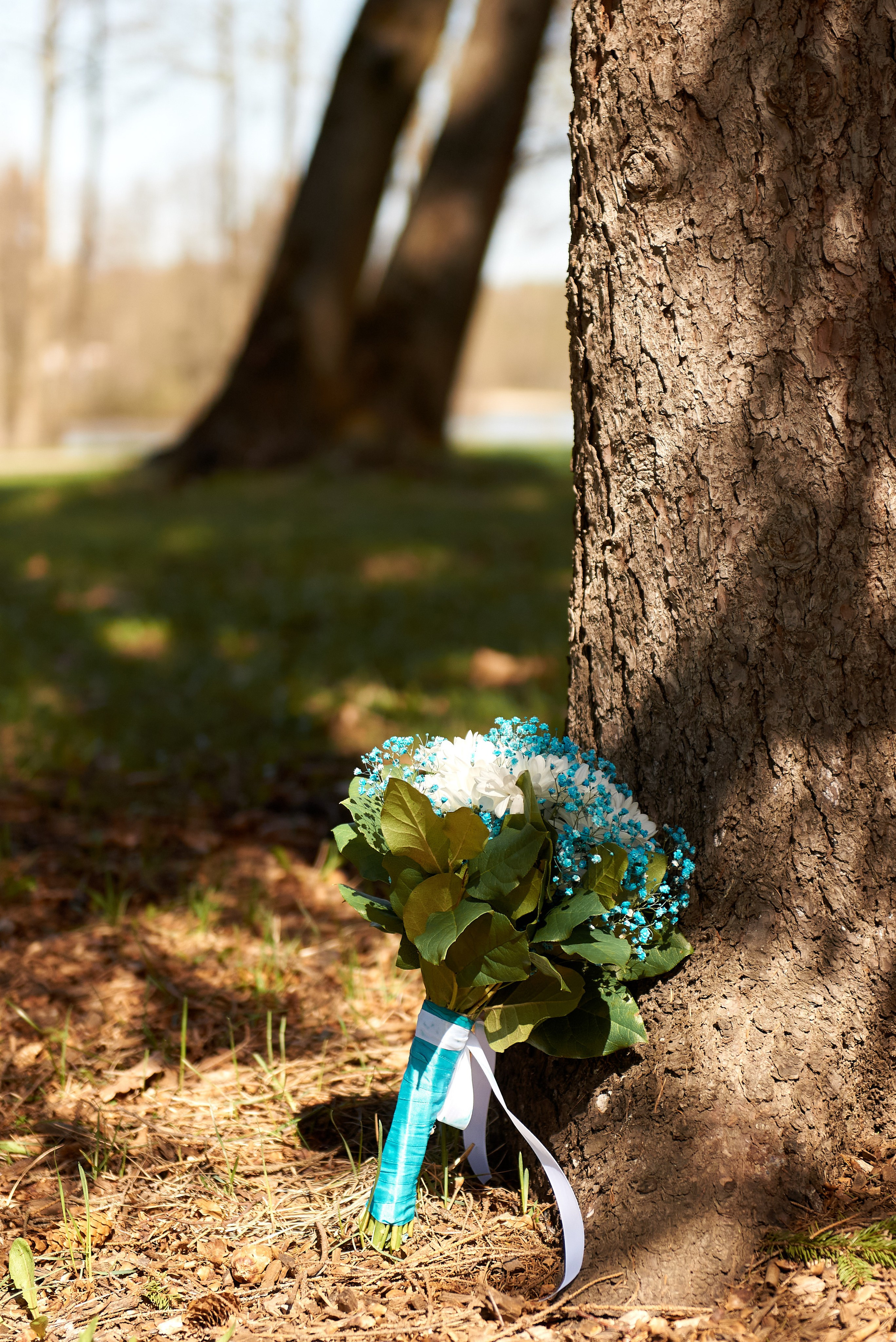 В & Я. Семейный и детский фотограф в г. Ногинске Ангелина Хасанова