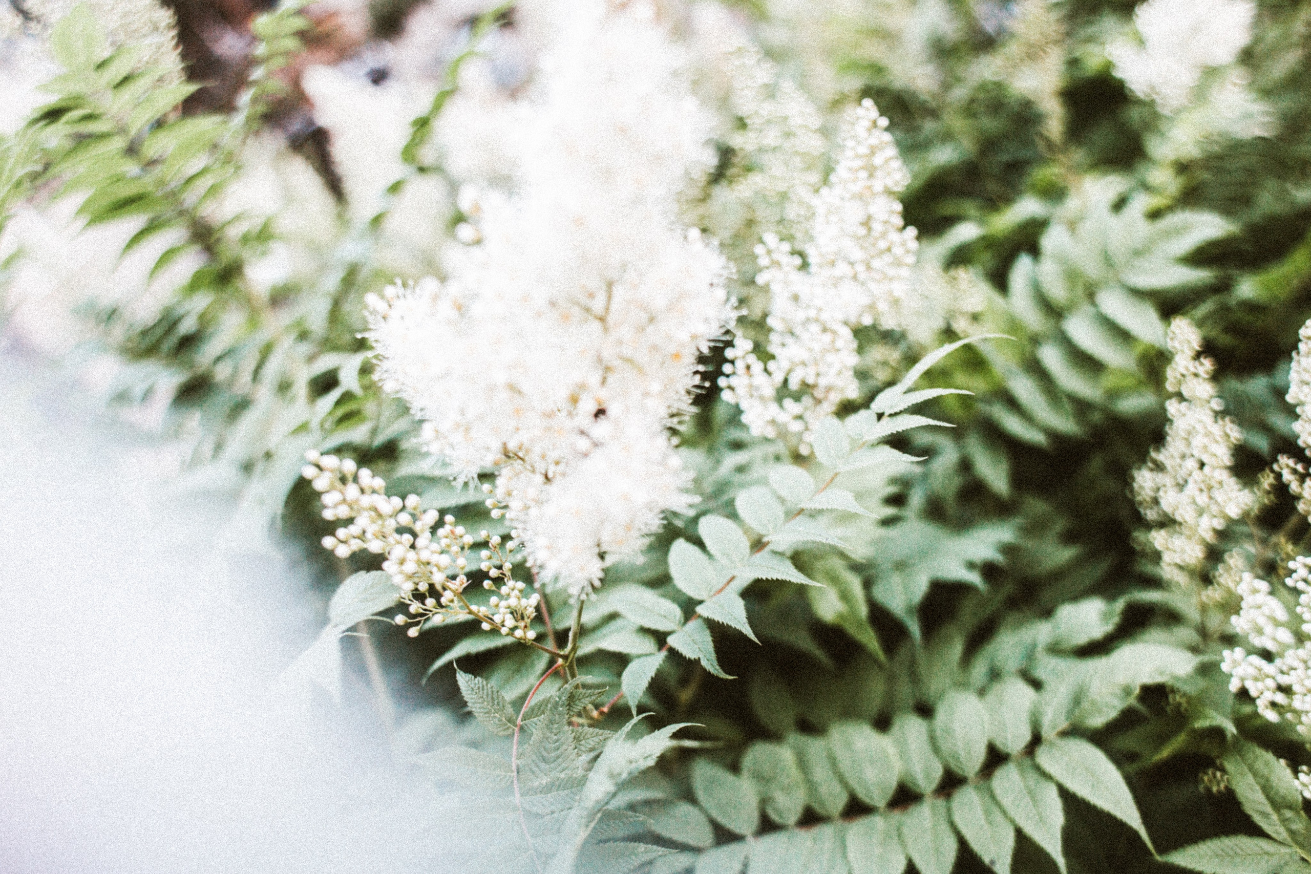 Хтонь. Юля. Фотограф в Нижнем Новгороде
