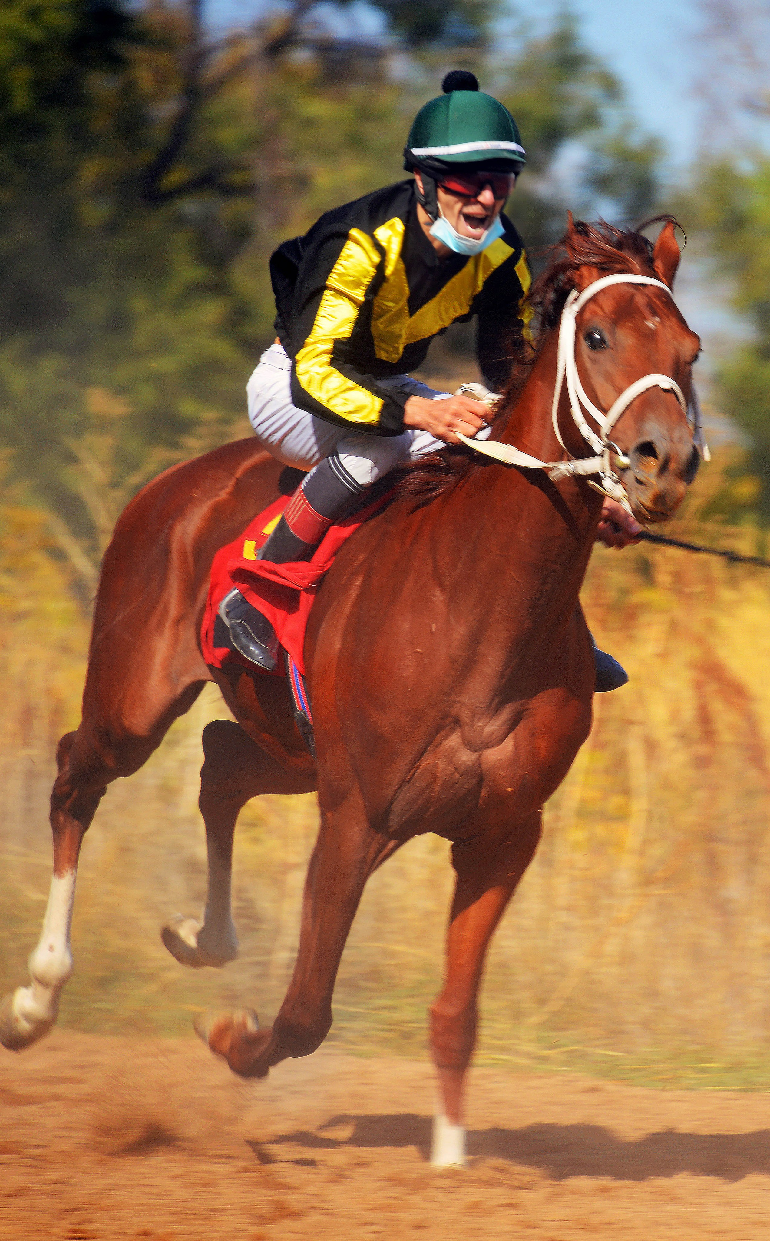 Скачки. Фотосъёмка. Фотограф Сергей Авдеев-семейный и детский фотограф в Алматы