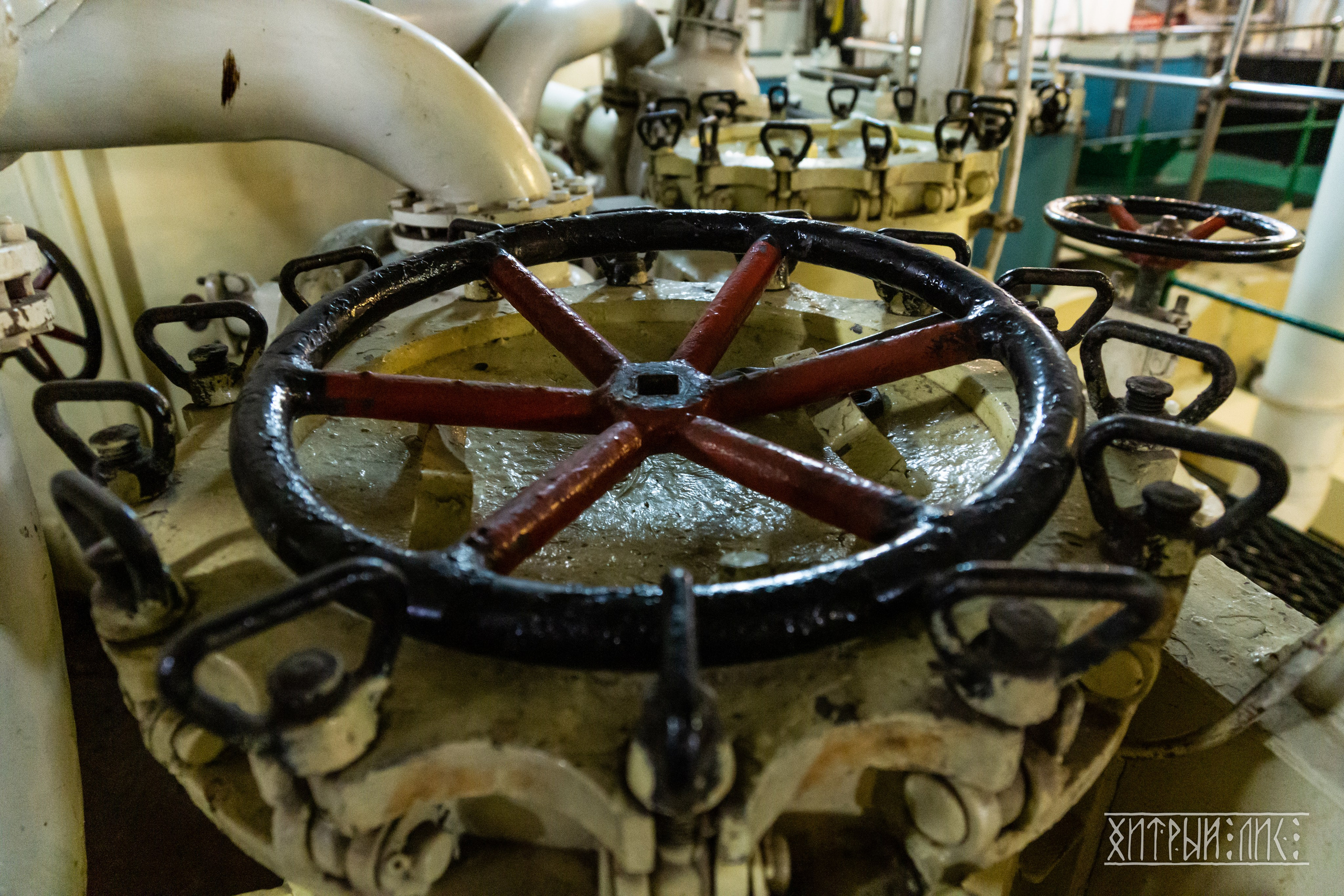 Мурманская обл. Фотограф-путешественник Самойлов Максим «Sly Fox»