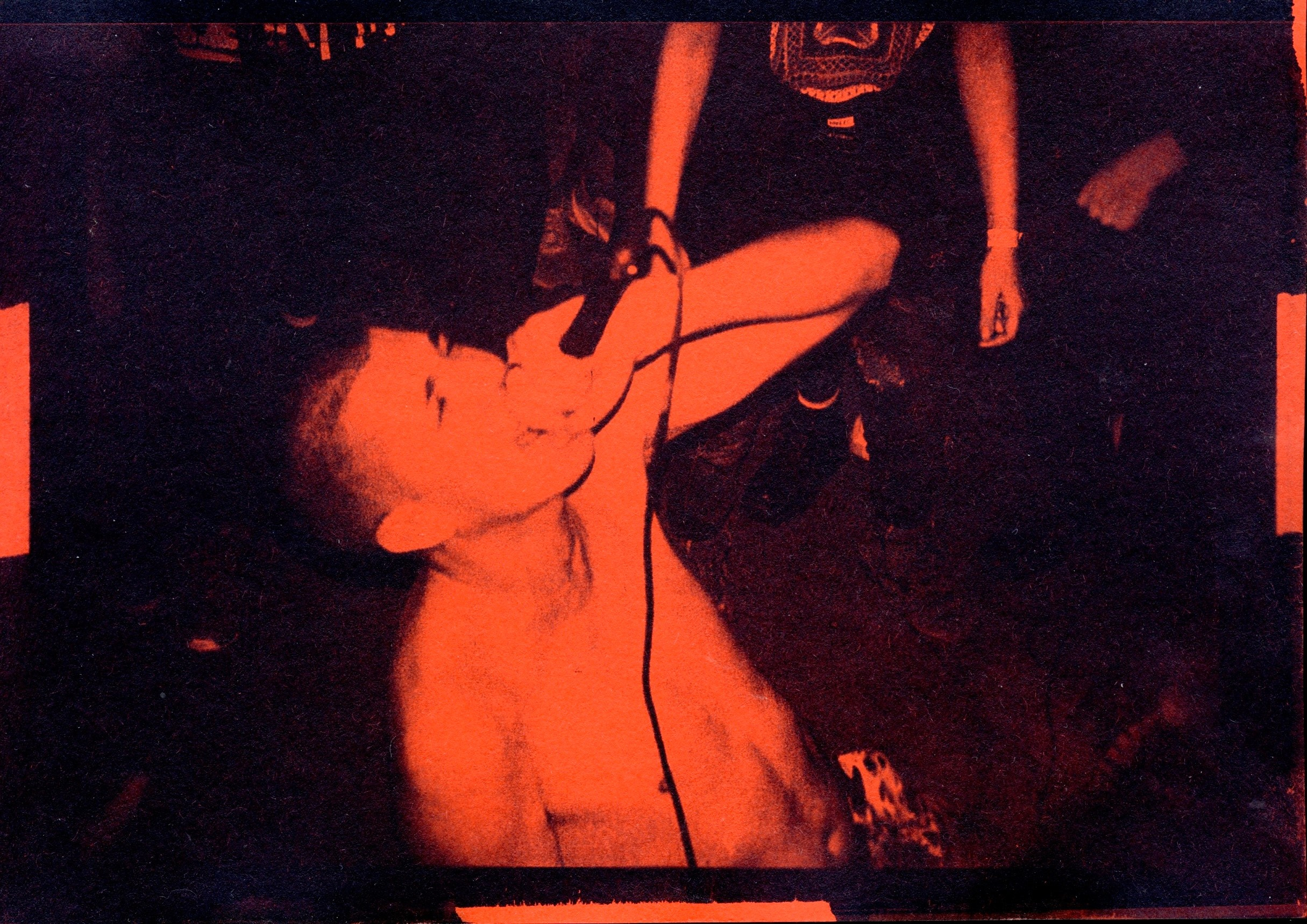 Липкий пол [книга]. Аня белка — художница и фотограф