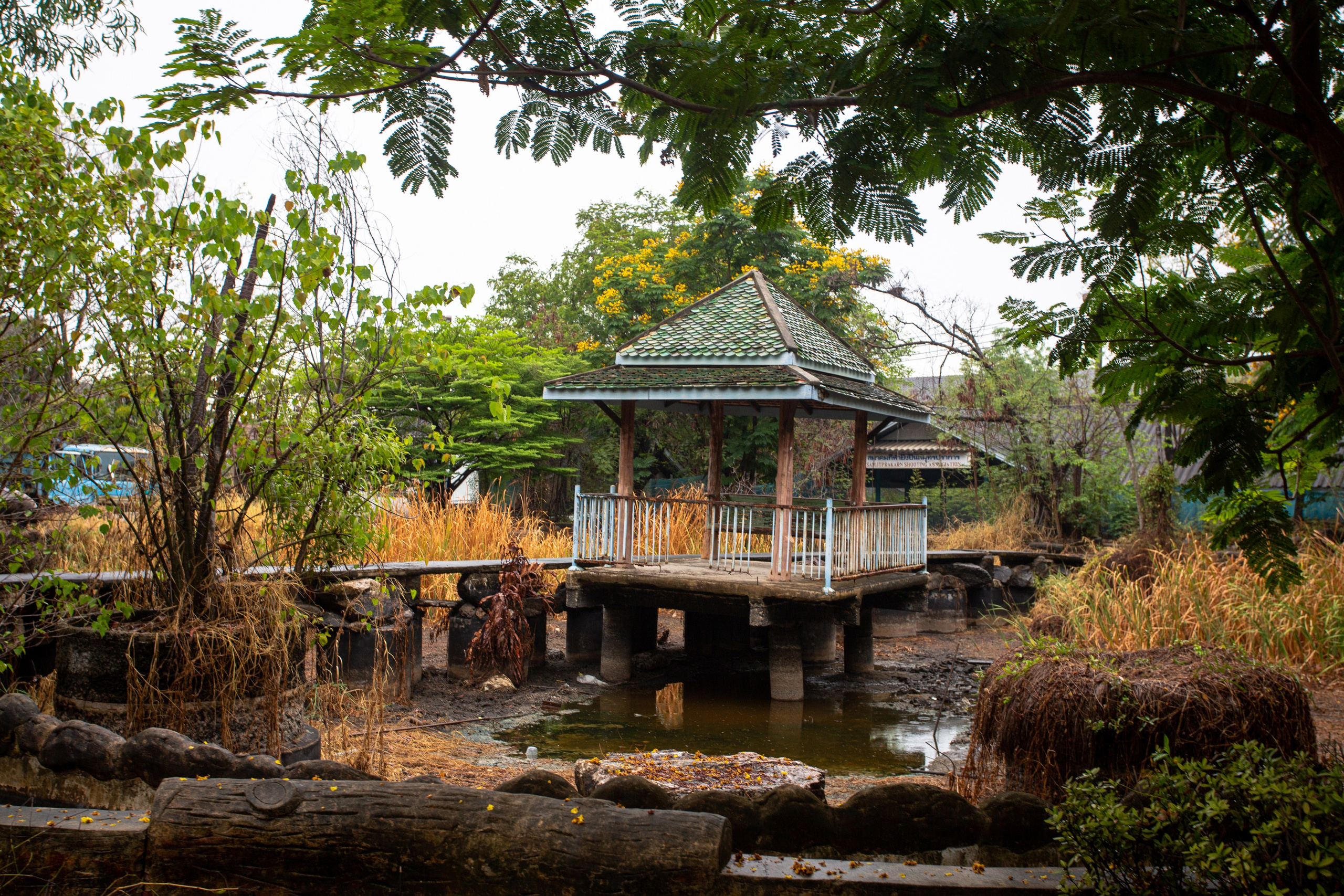 Samut Prakan Crocodile Farm & Zoo. Photographer Sonkina Tatiana (Tanya Ash)