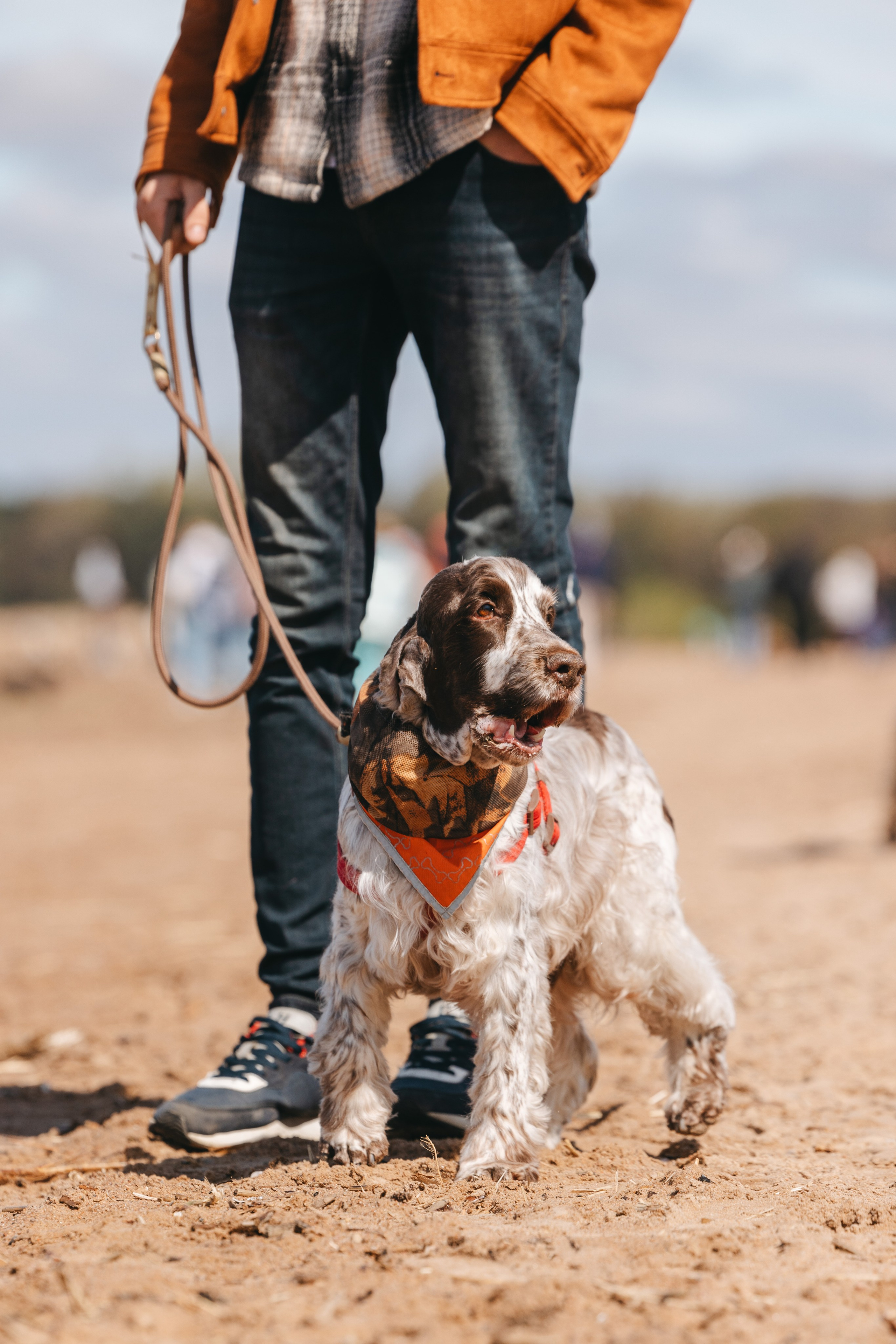 Спанимания. Фотограф анималист Осипчикова Мария