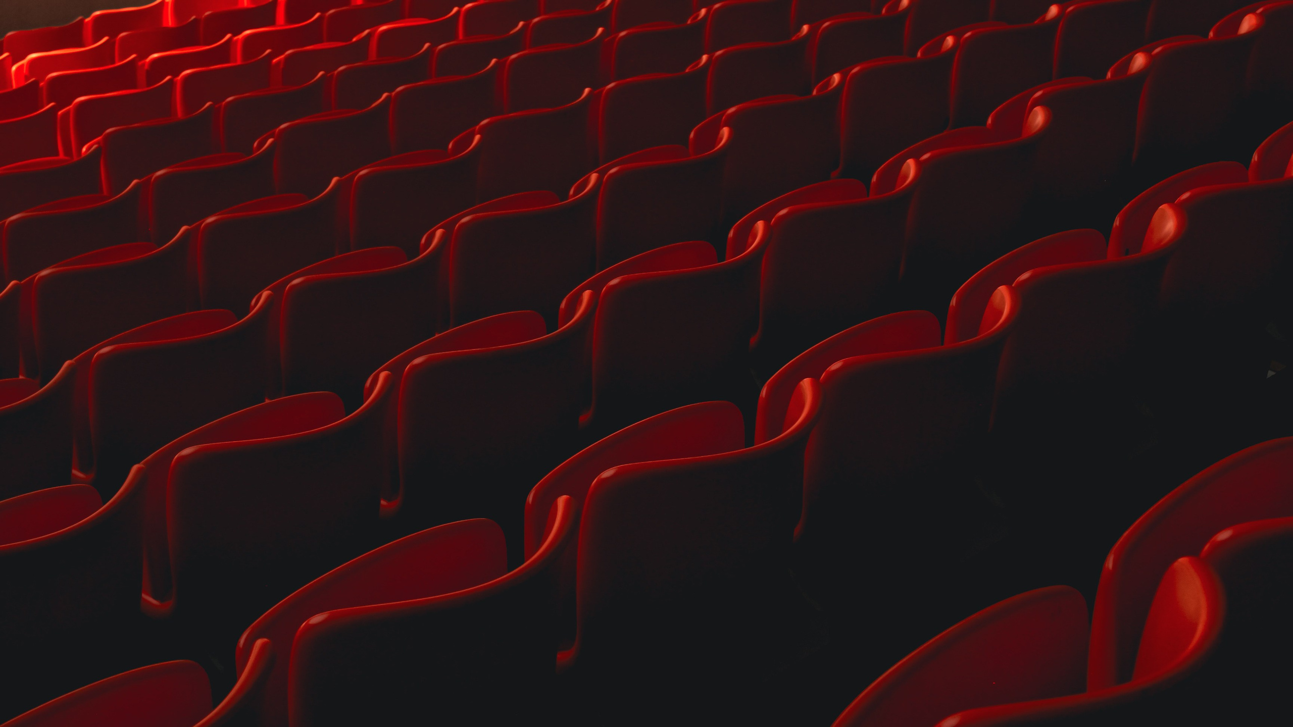 Stadium. Фотограф/дизайнер в Екатеринбурге Хитрый Дмитрий