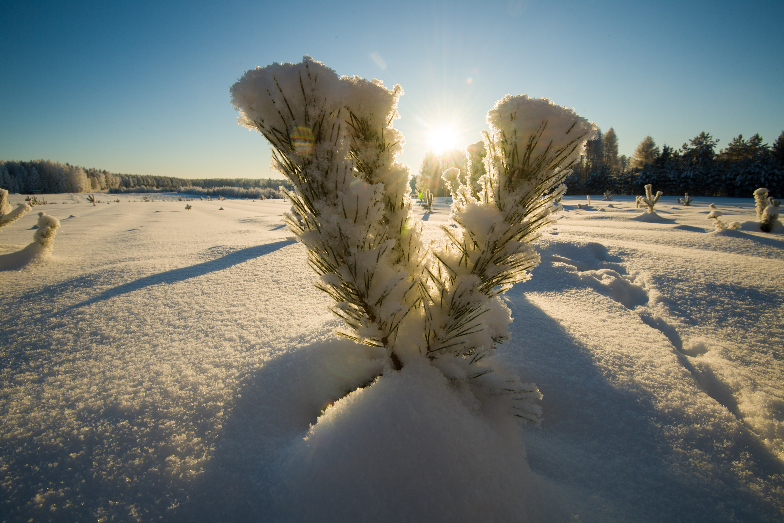 Пейзаж. Документальный фотограф Сергей Вдовин