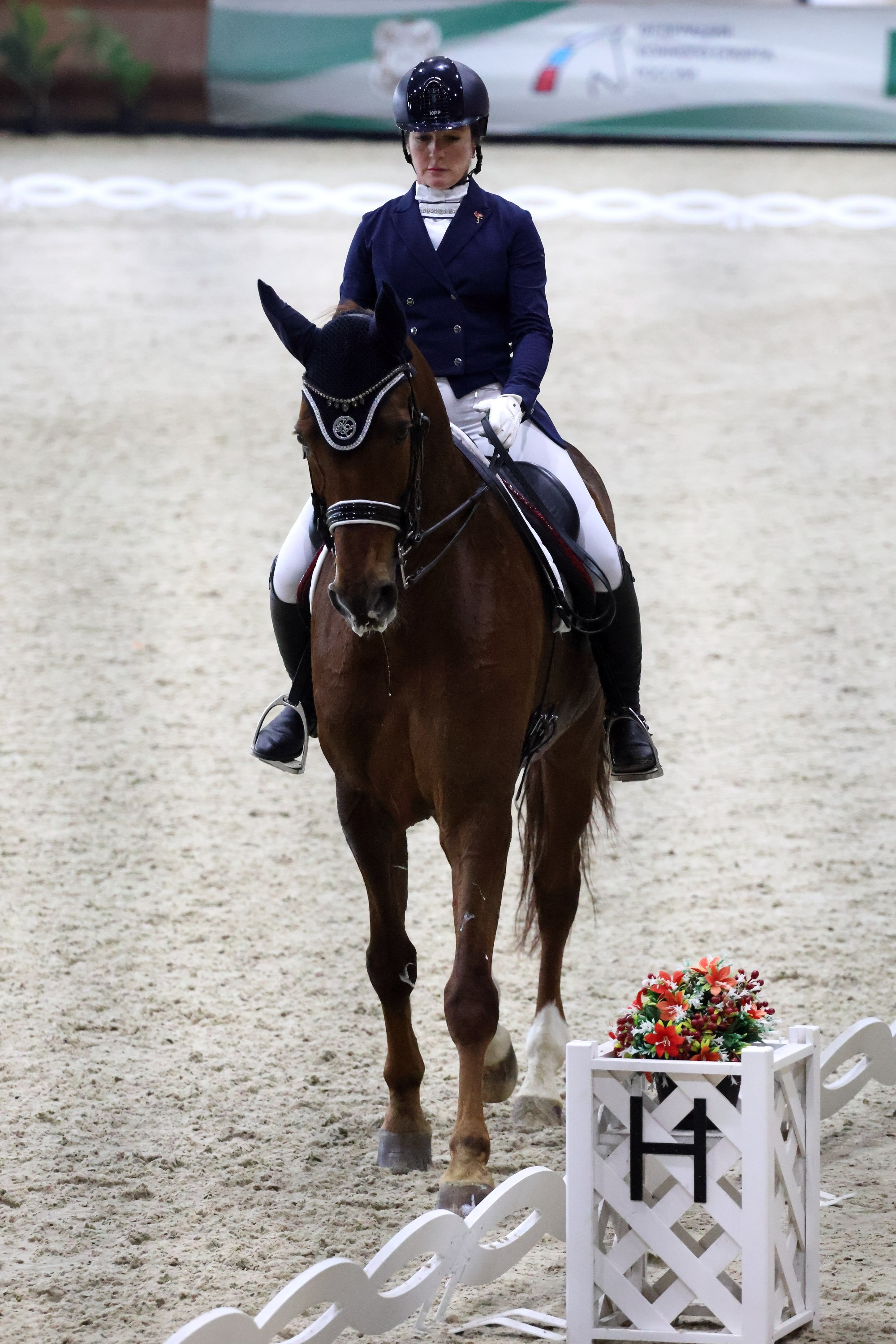 Соревнования по выездке КСК «Виват, Россия!». Спортивный и репортажный фотограф Ермакова Светлана