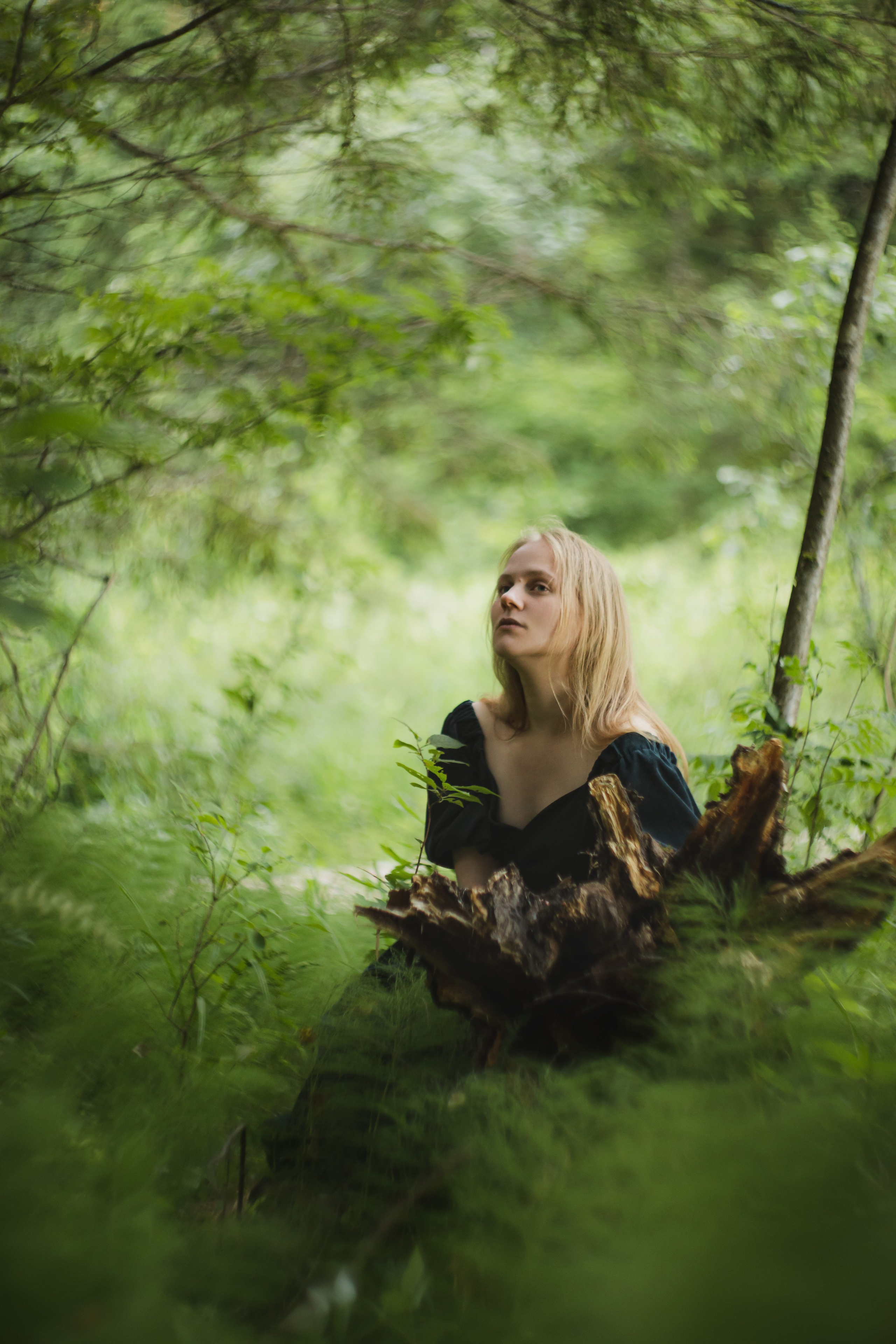 Рассветная в лесу. Юлия Башкатова, сказочный фотограф, Москва