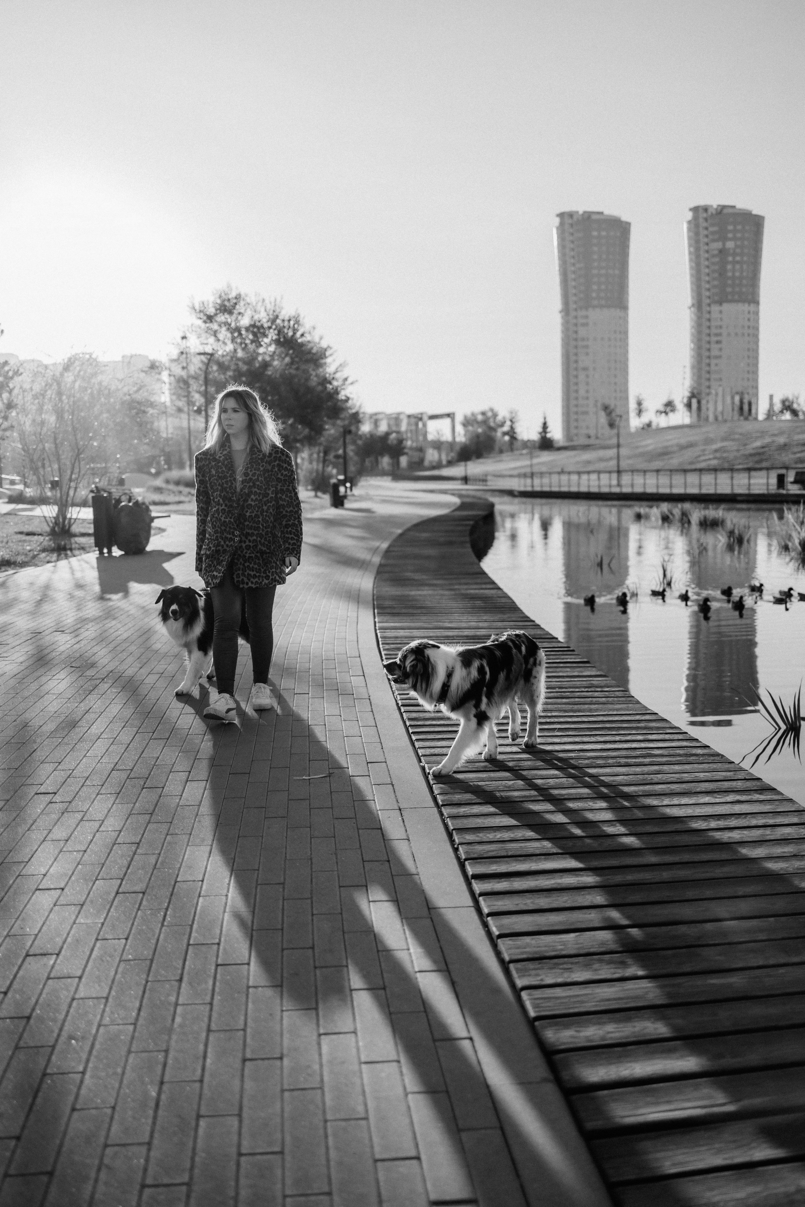 Аня, Чарли и Ева. Фотограф-анималист Елена Радченко, Москва