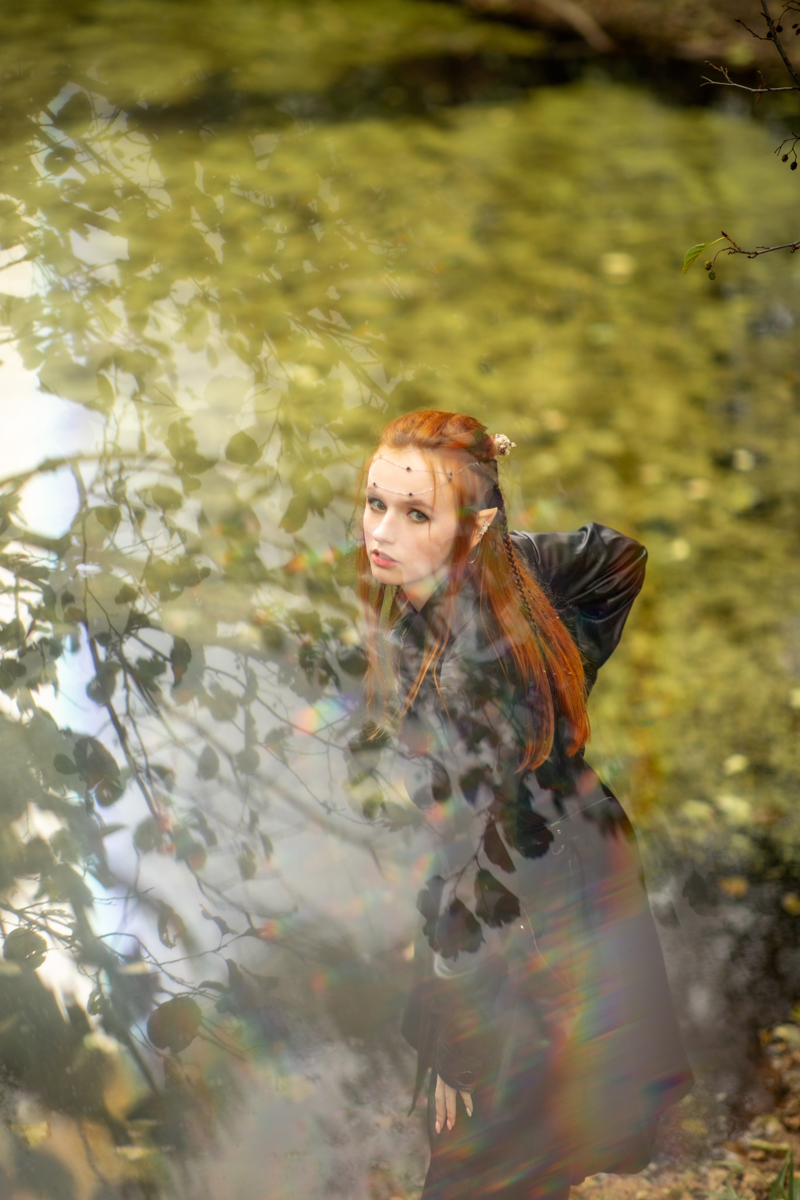 Волшебный лес