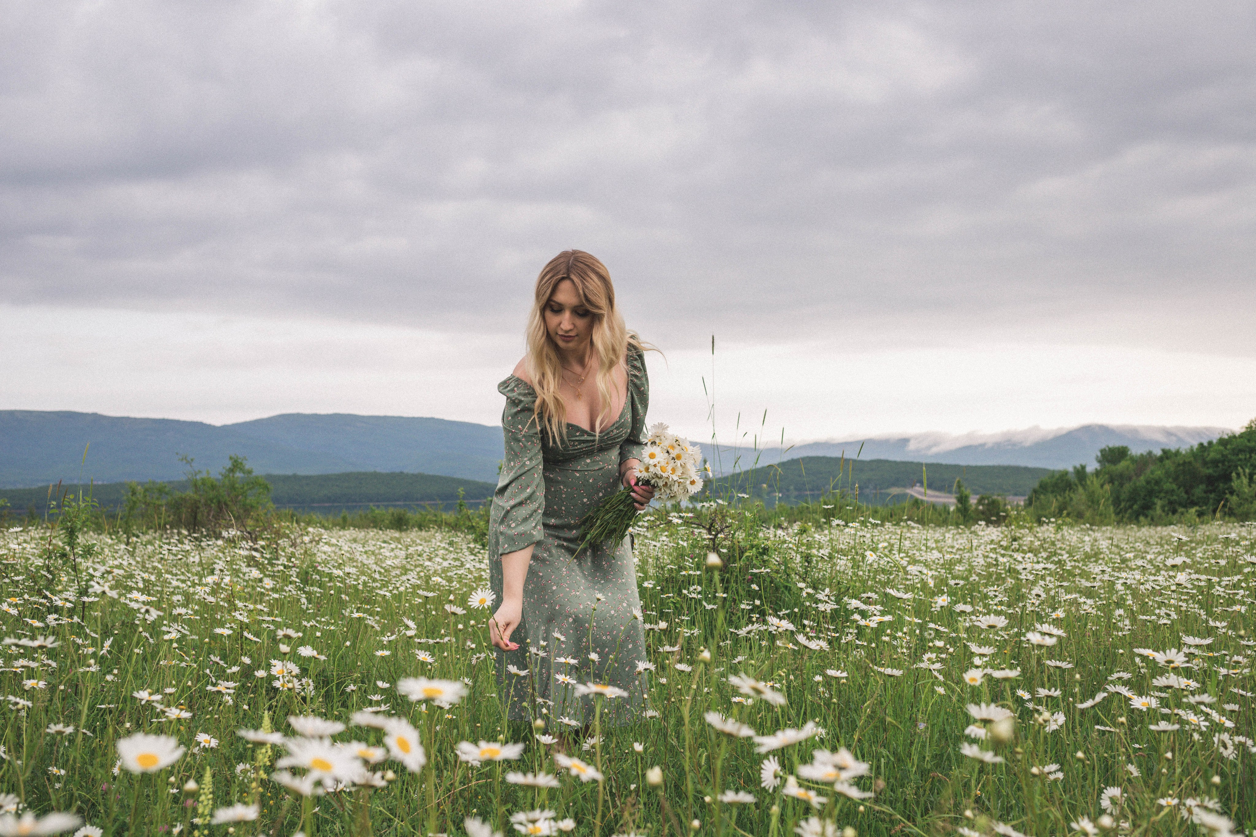 РОМАШКИ. Фотограф Немазенко Ольга