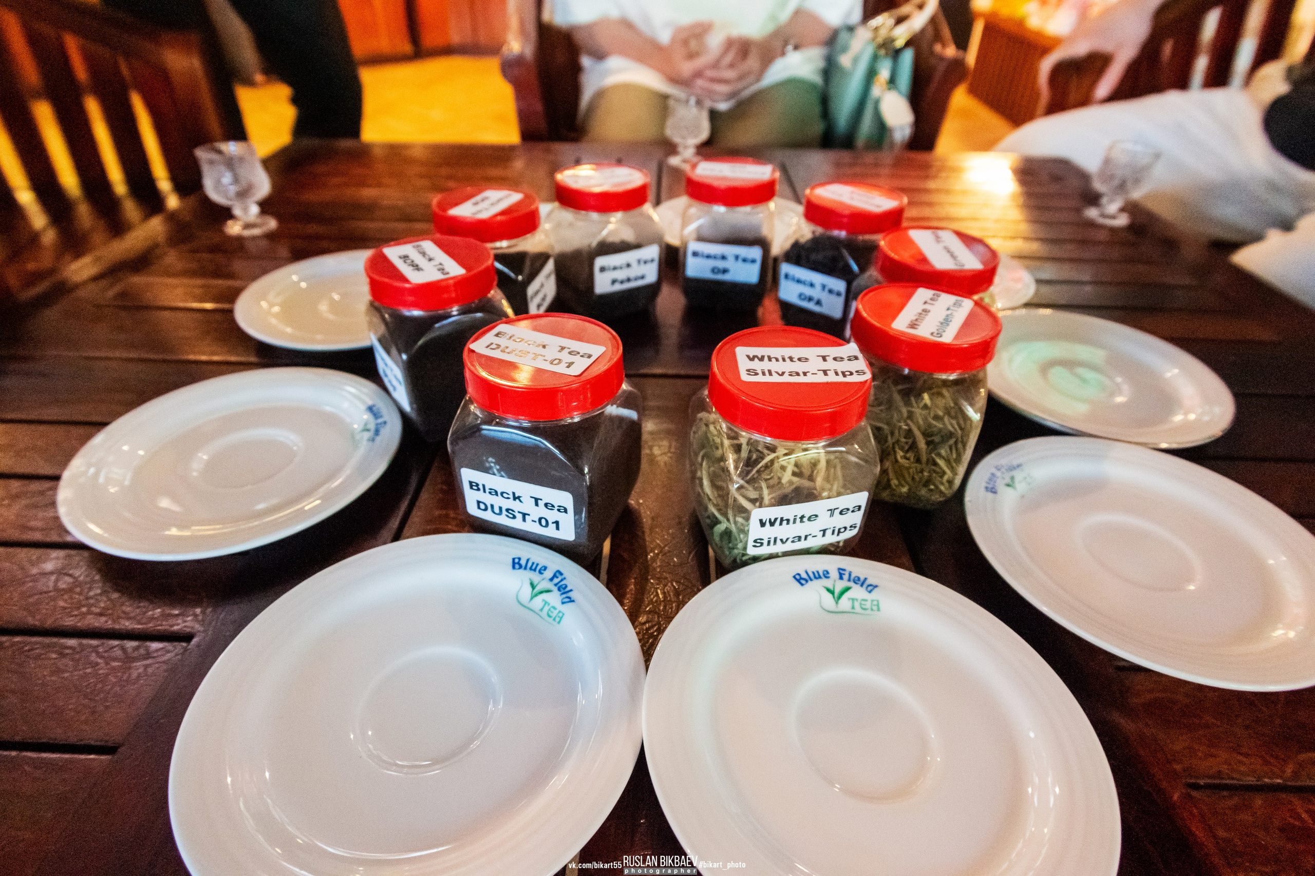 ШРИ-ЛАНКА 2025 / SRI LANKA 2025. Главная