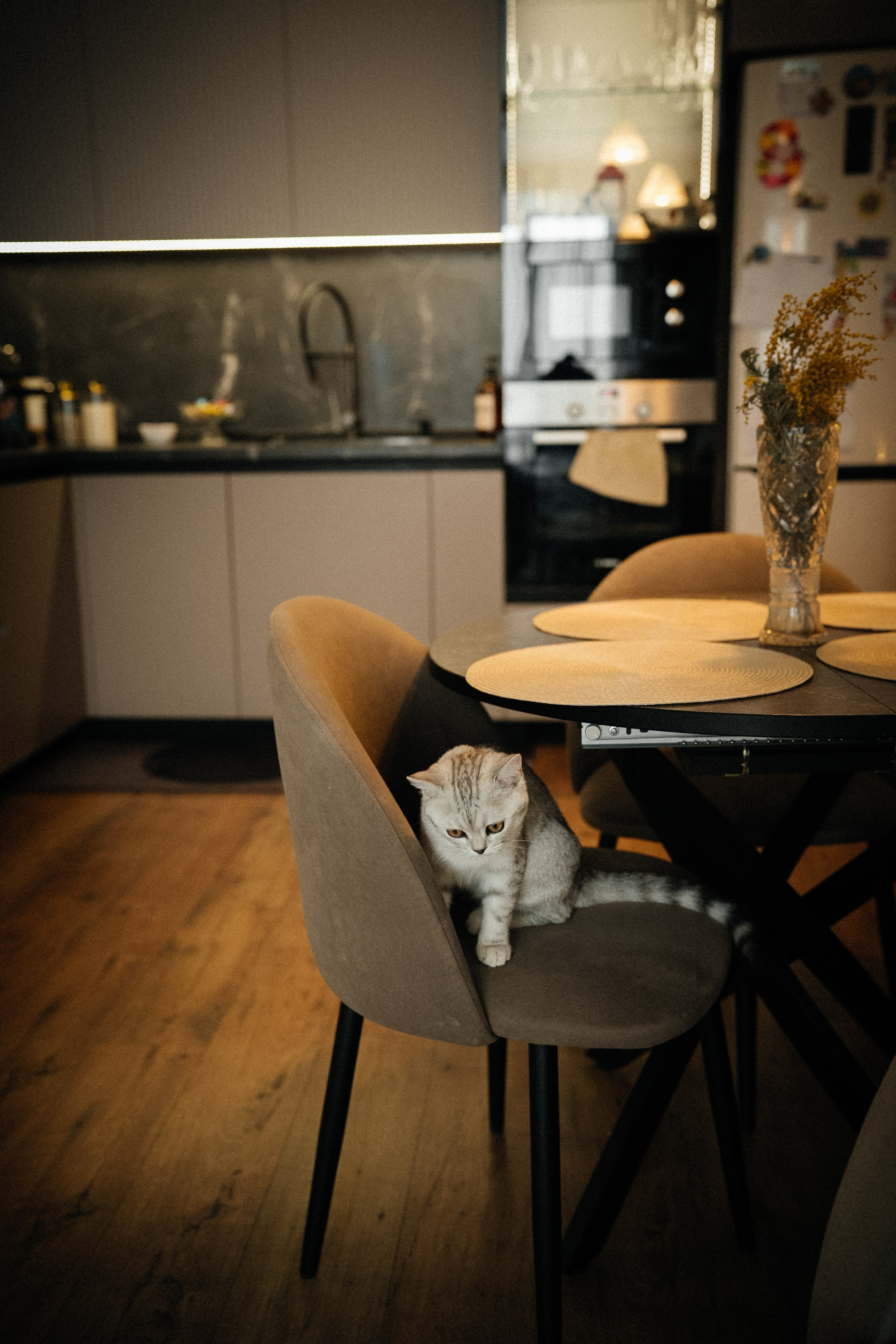 Семья Ксении и Максима. Фотограф | Юлия Арт| Обучение