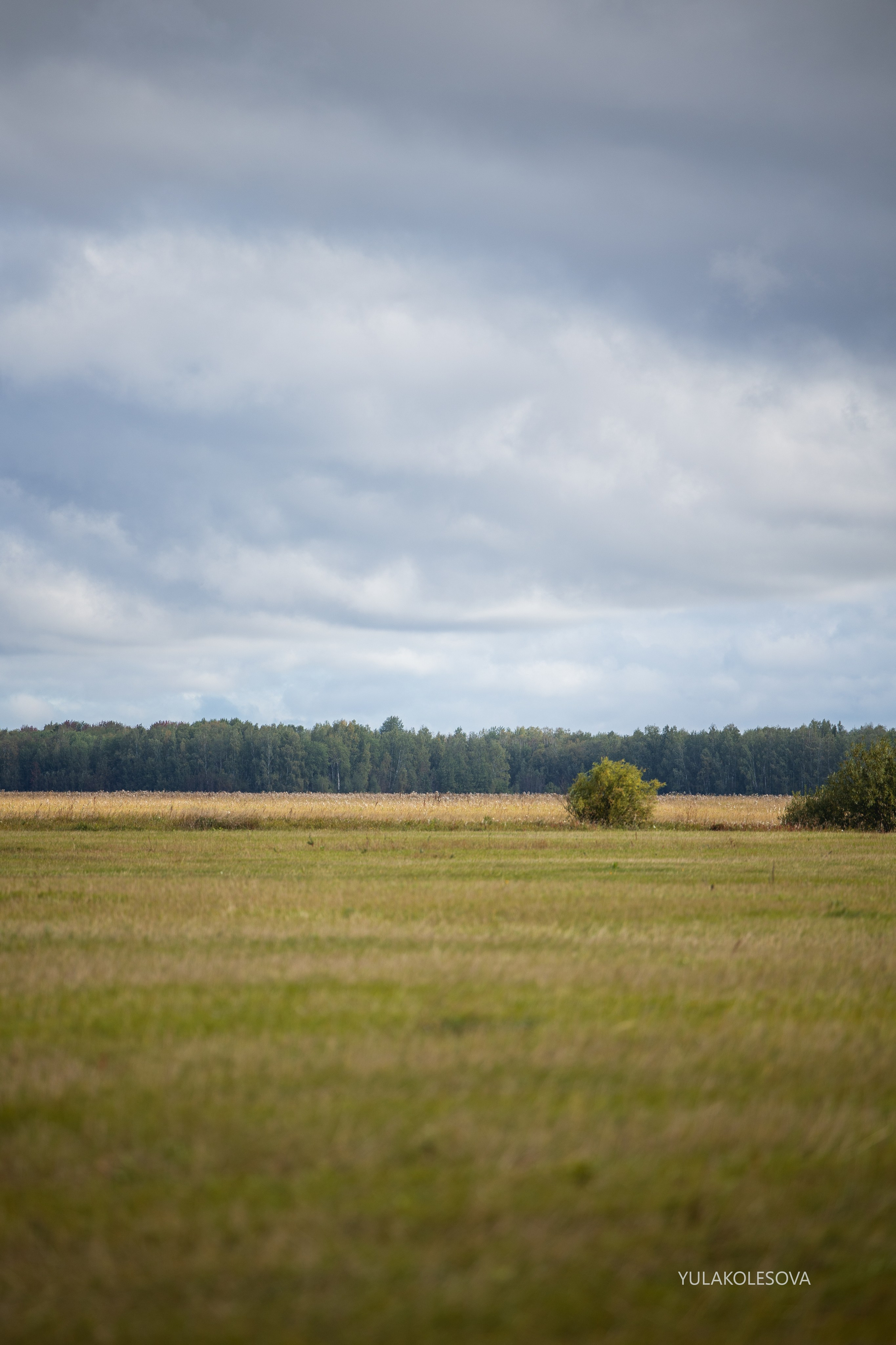 Пастуший интенсив, сентябрь 2024. YULA KOLESOVA | Фотограф — Анималист | Художник | Тюмень
