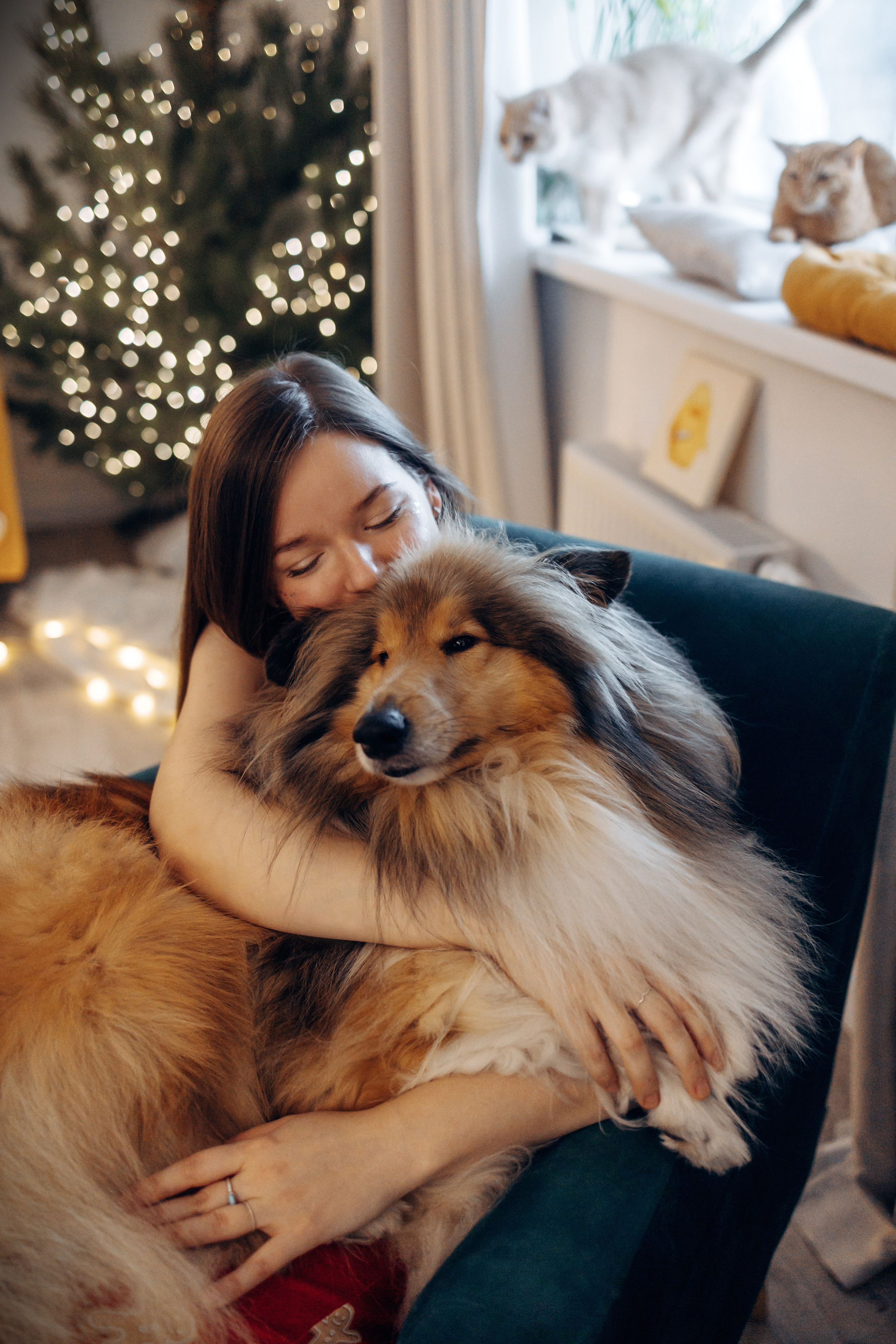 Юлиана, Элли и Райан. YULA KOLESOVA | Фотограф — Анималист | Художник | Тюмень
