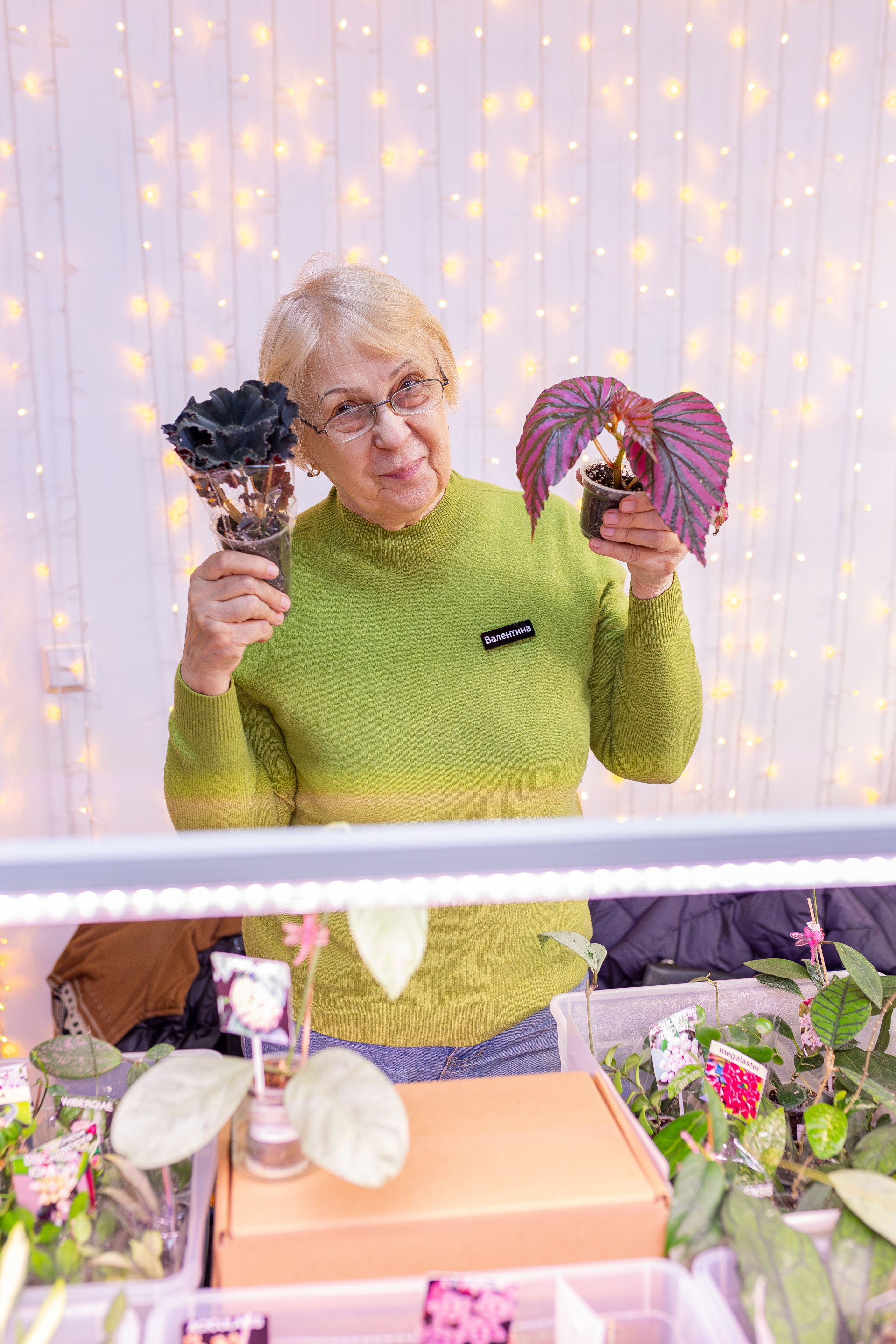 Орхидиум 12.2025. Александра Куликова фотограф, Москва