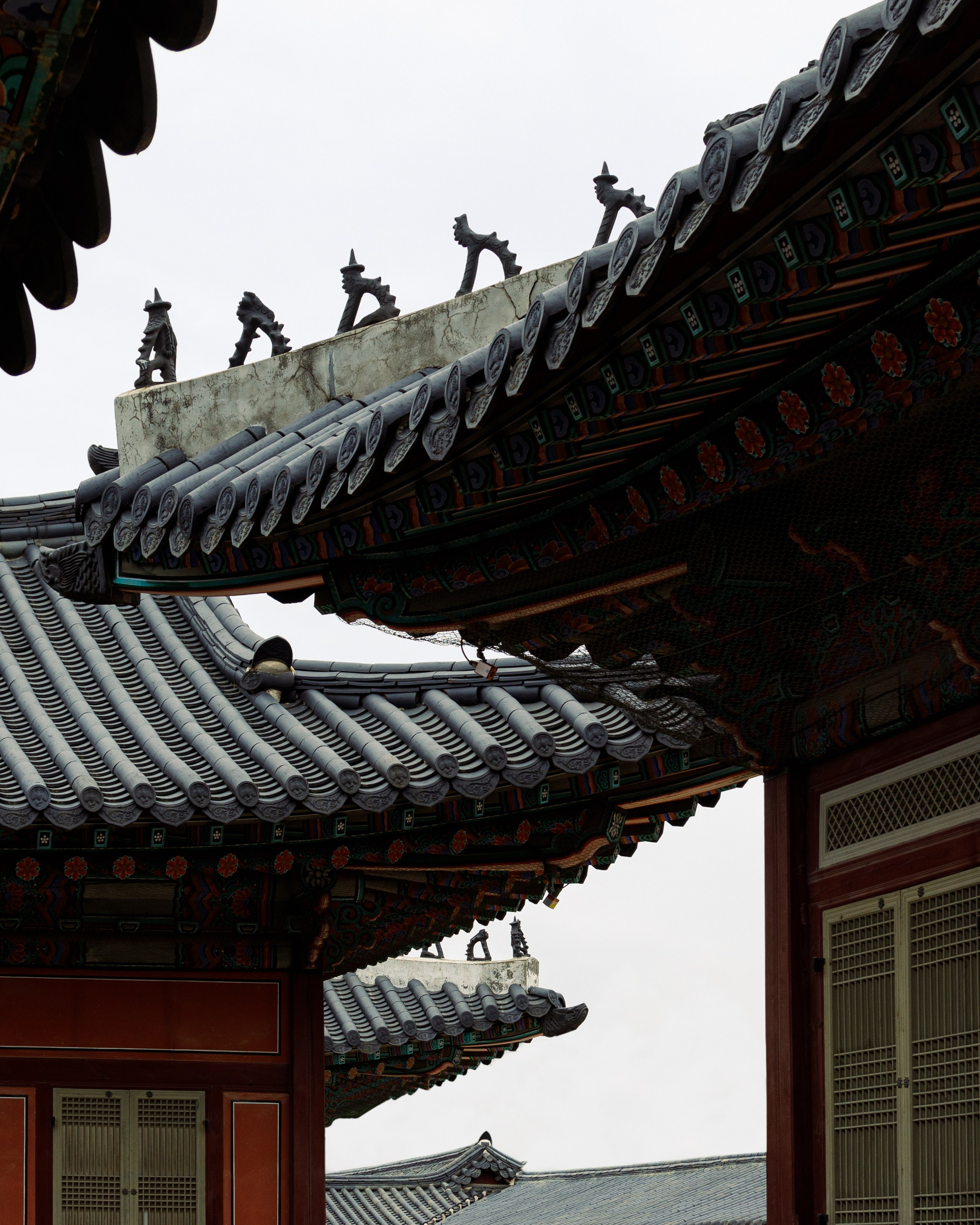 Южная Корея. Фотограф Павел Подшивалов