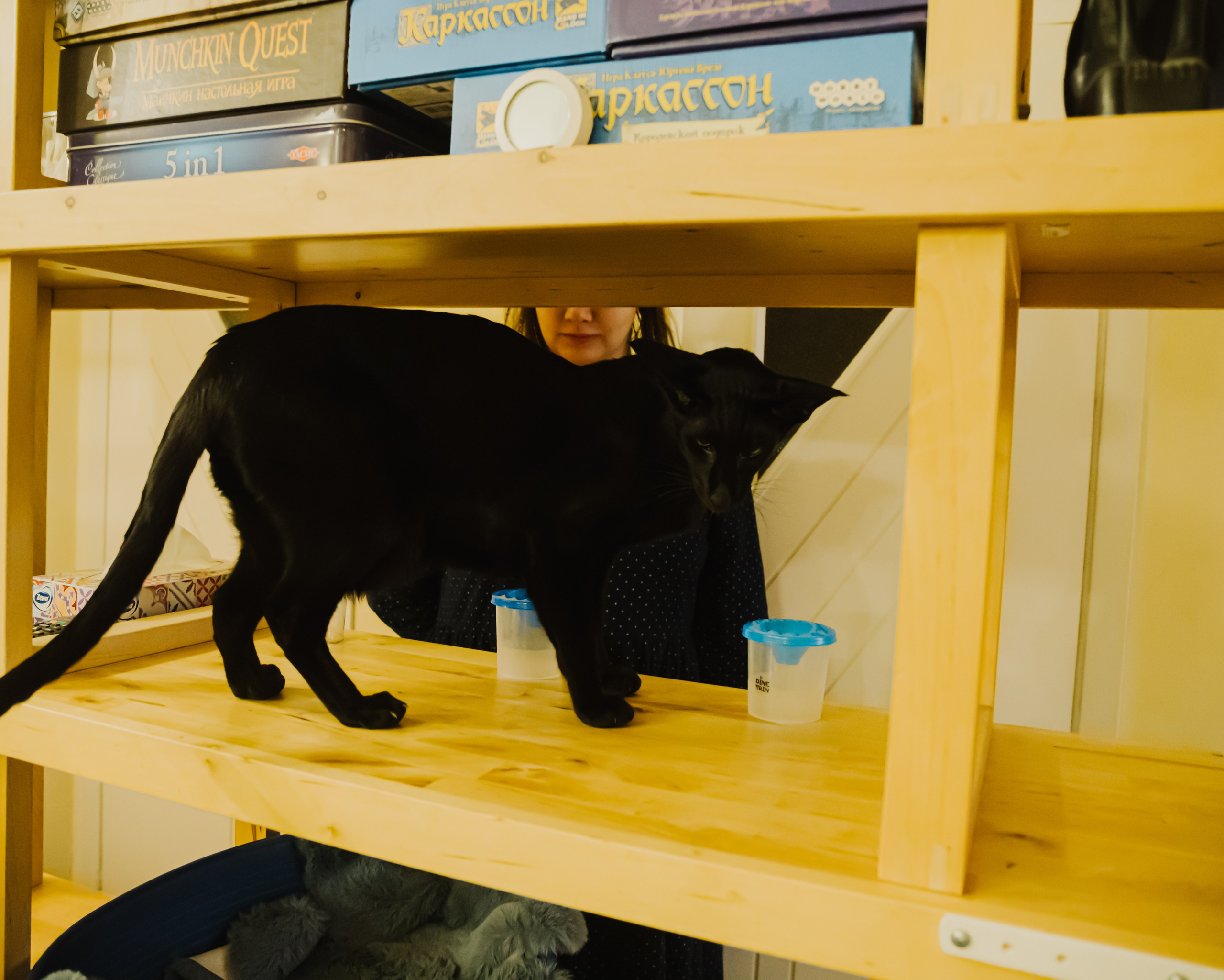 Гилдин. Портретный фотограф Ванинен Анастасия. Санкт-Петербург