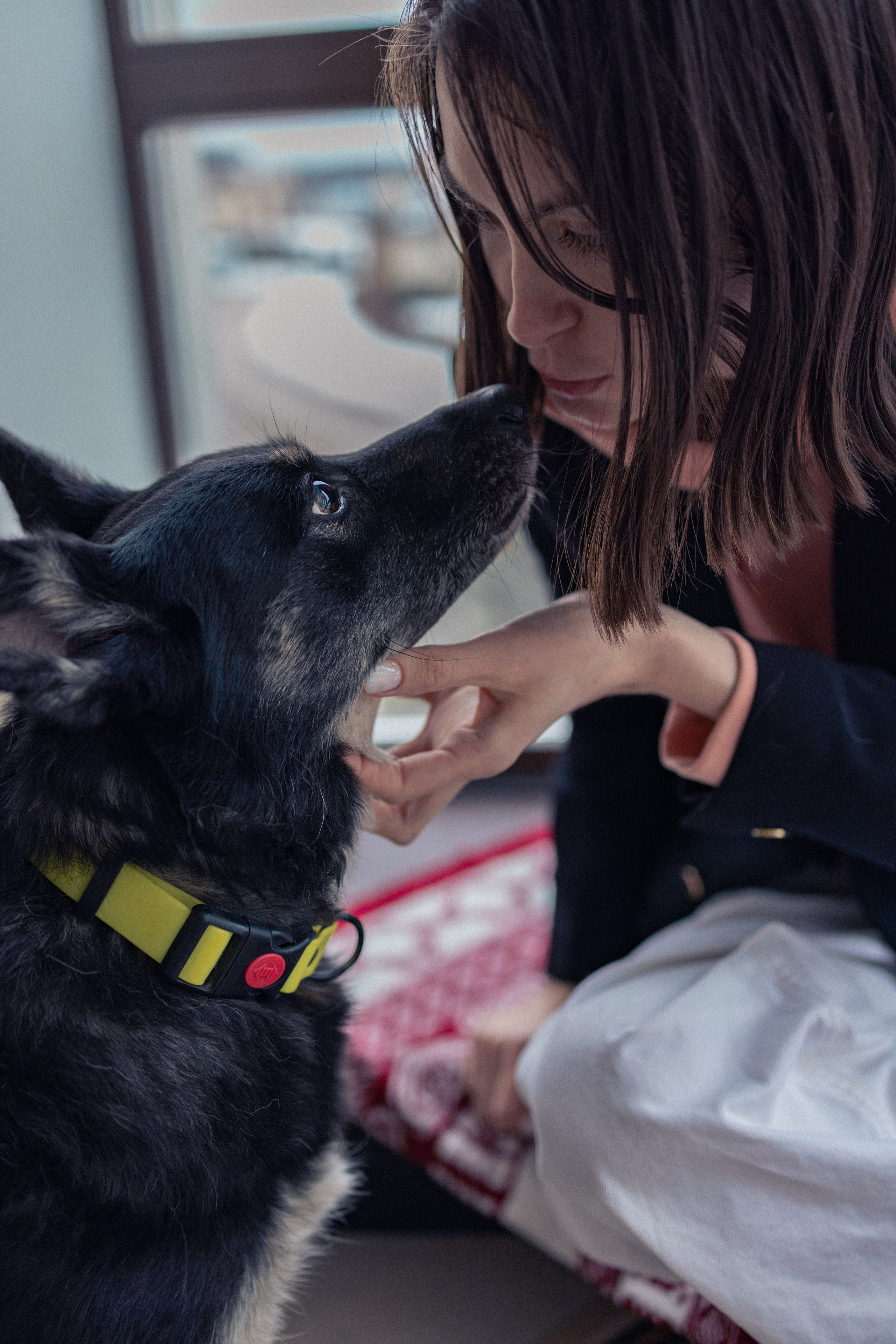 Ника, Матиша и Герда. Фотограф-анималист в Москве Лера Черноног