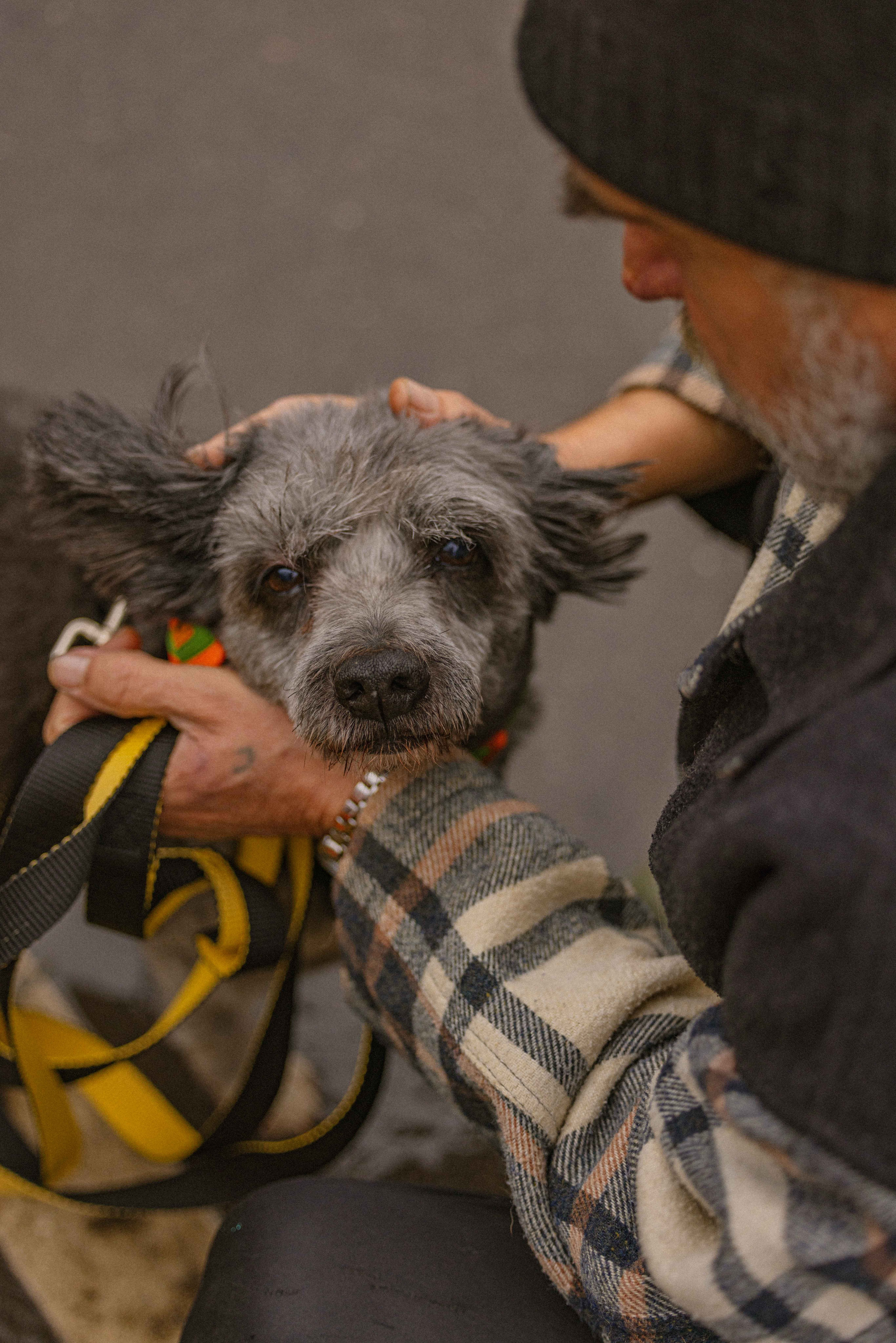 Передержка. Фотограф-анималист в Москве Лера Черноног