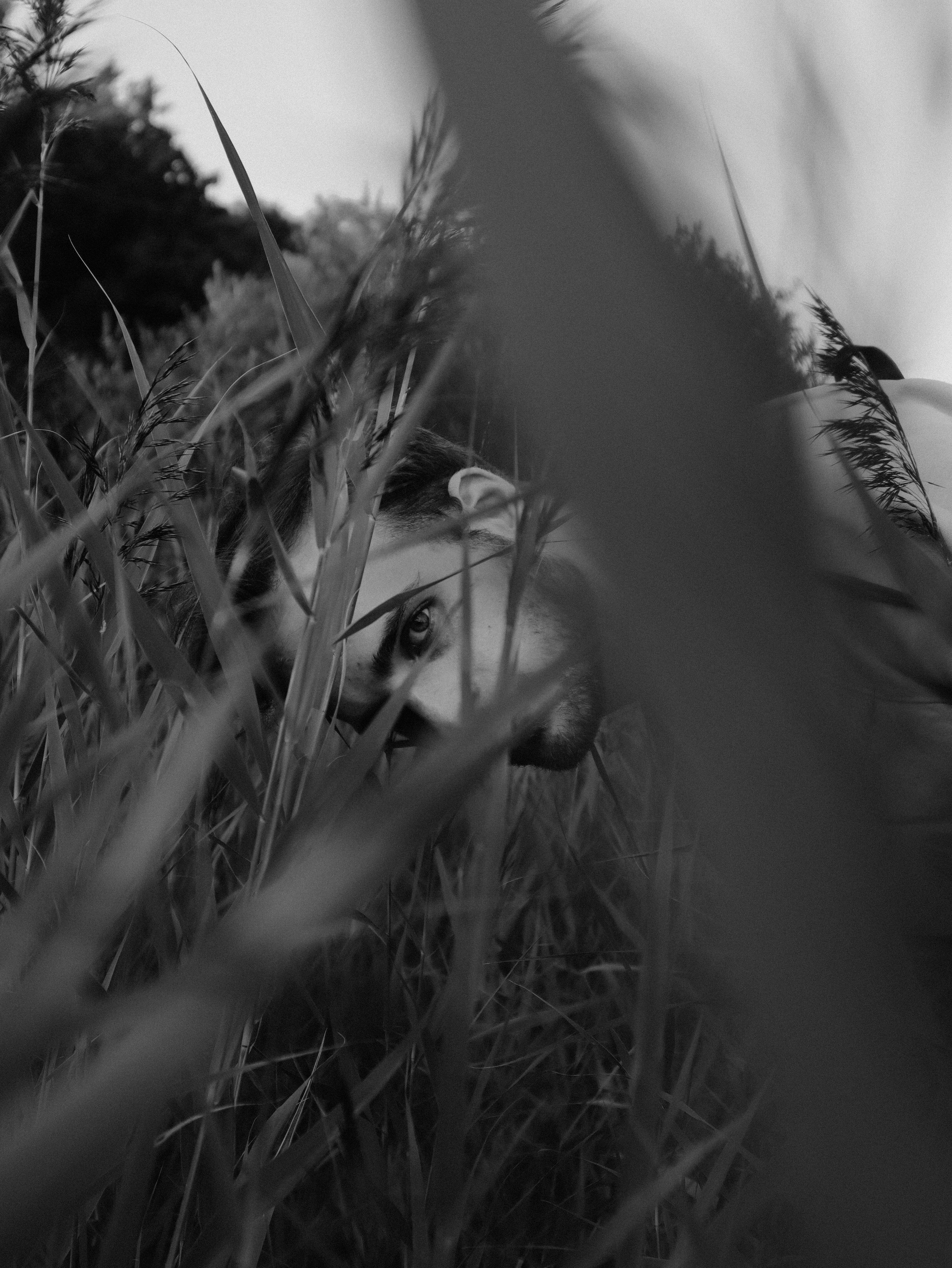 КИНО-ПРОГУЛКА. Кинематографичный фотограф, видеограф Лина Плешакова, Санкт-Петербург