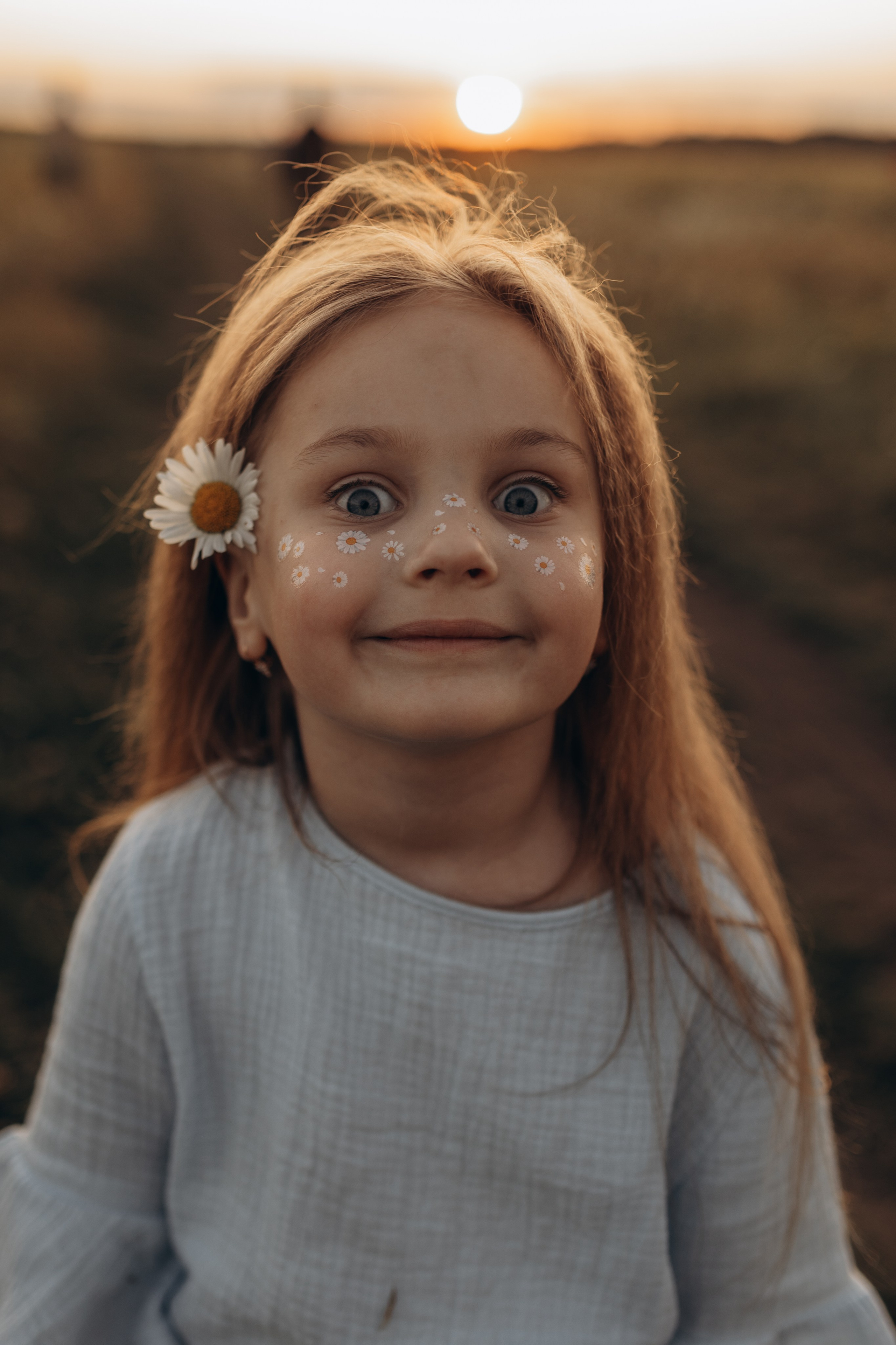 Закат на ромашковом поле. Фотограф в Ставрополе Svetlana Matveeva