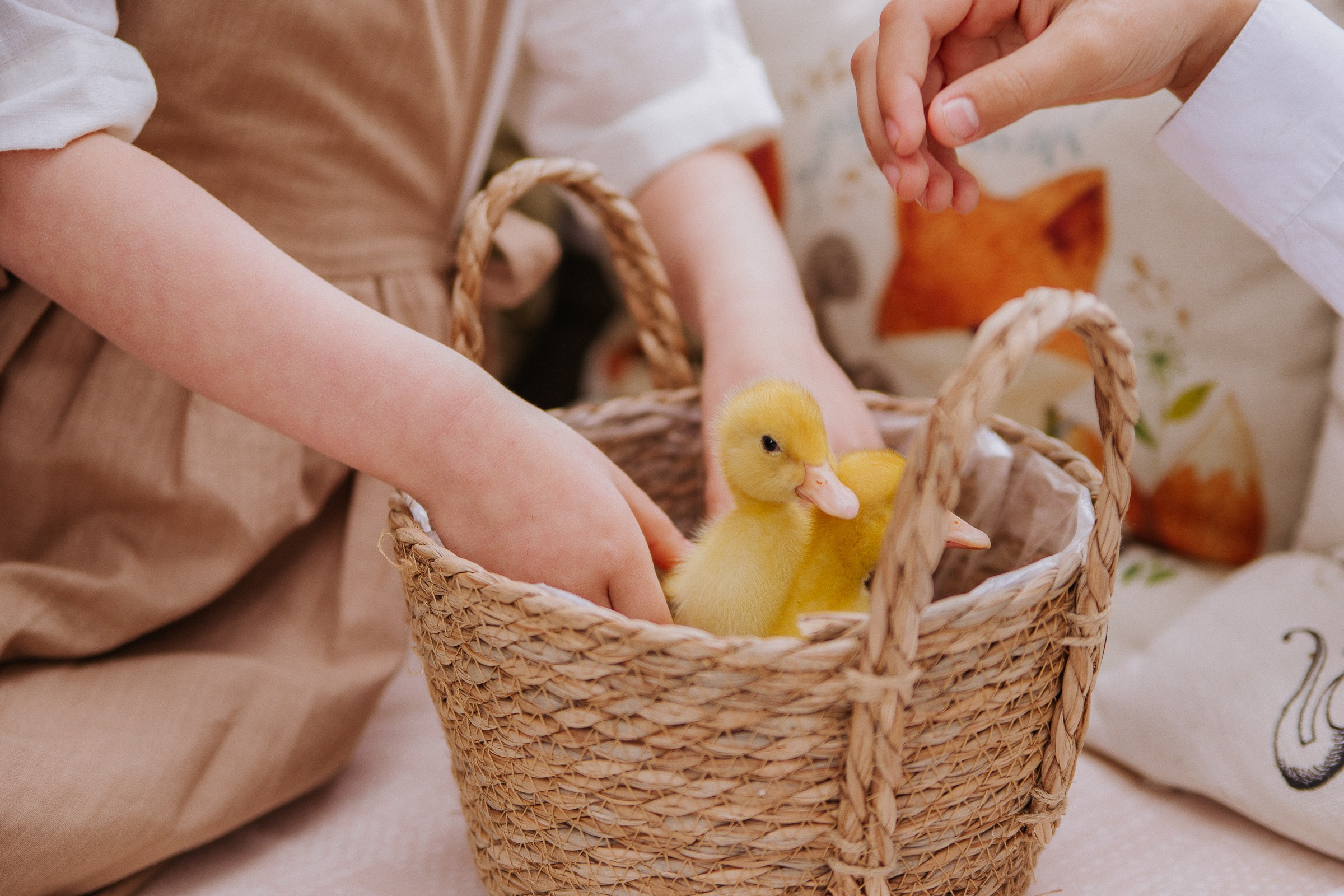 Юлия. Семейный и персональный фотограф в Ростове-на-Дону