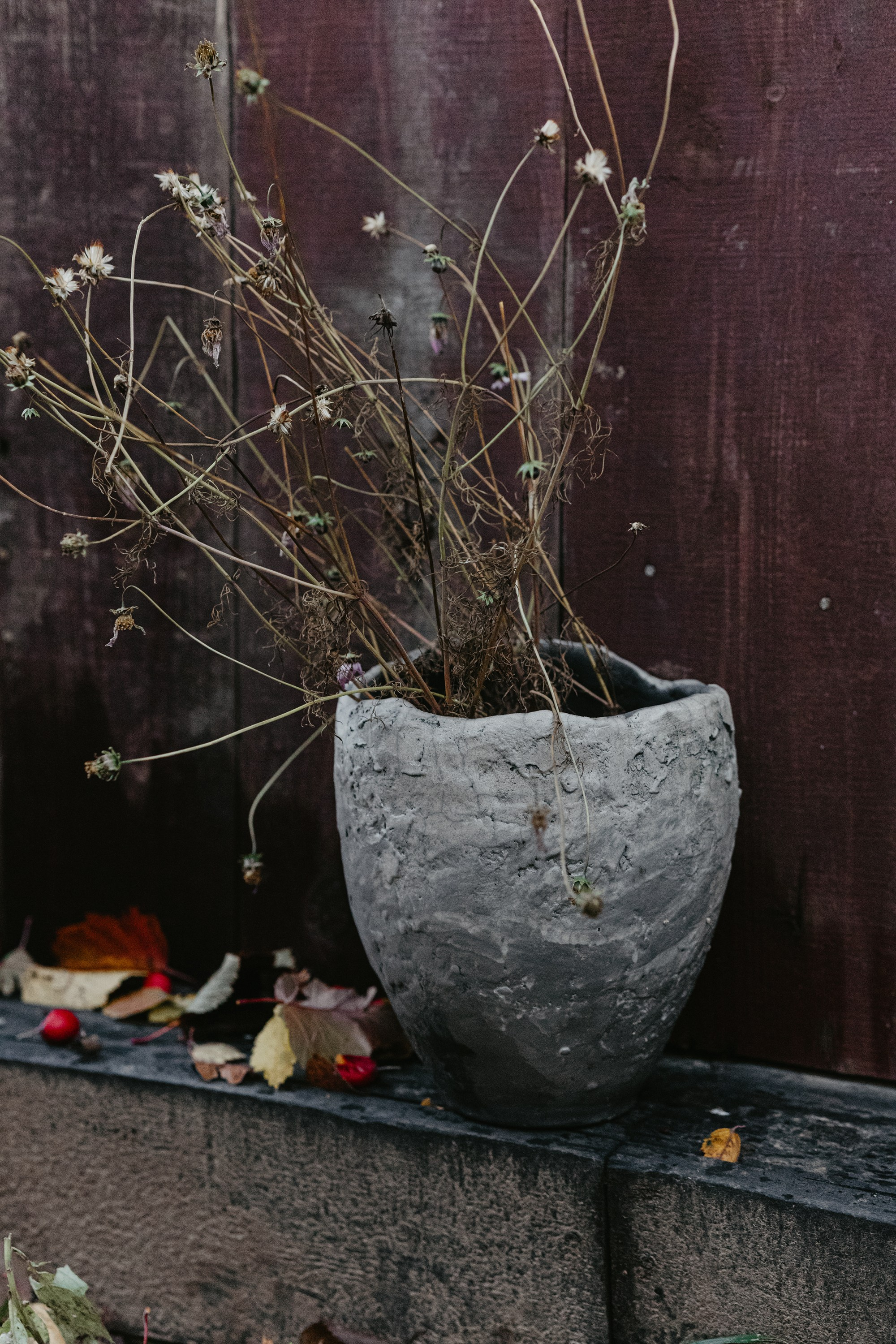 Ваза Айла. Фотограф Эльмира Лин