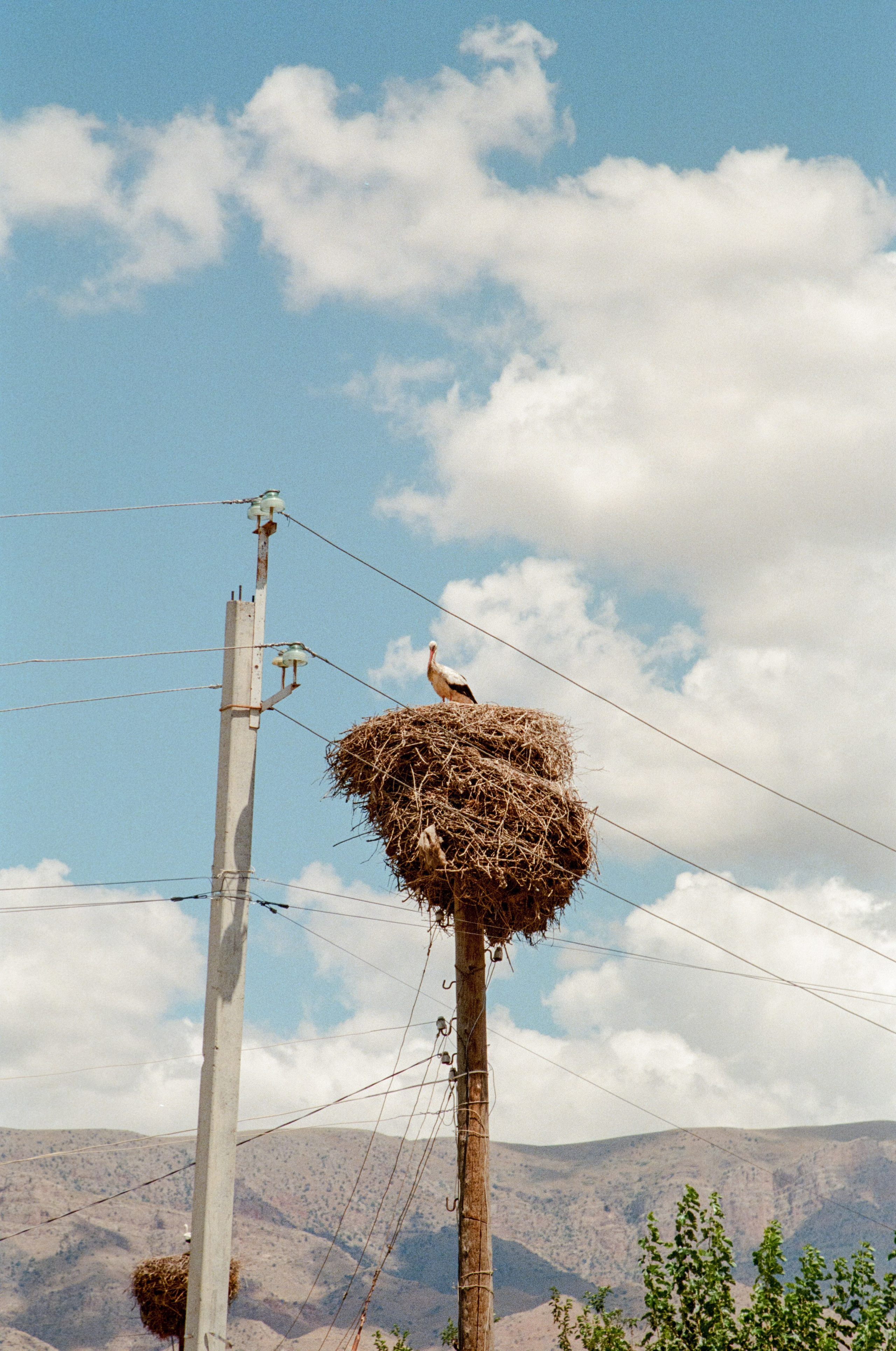 АРМЕНИЯ.24. Профессиональный фотограф Федотова Арина