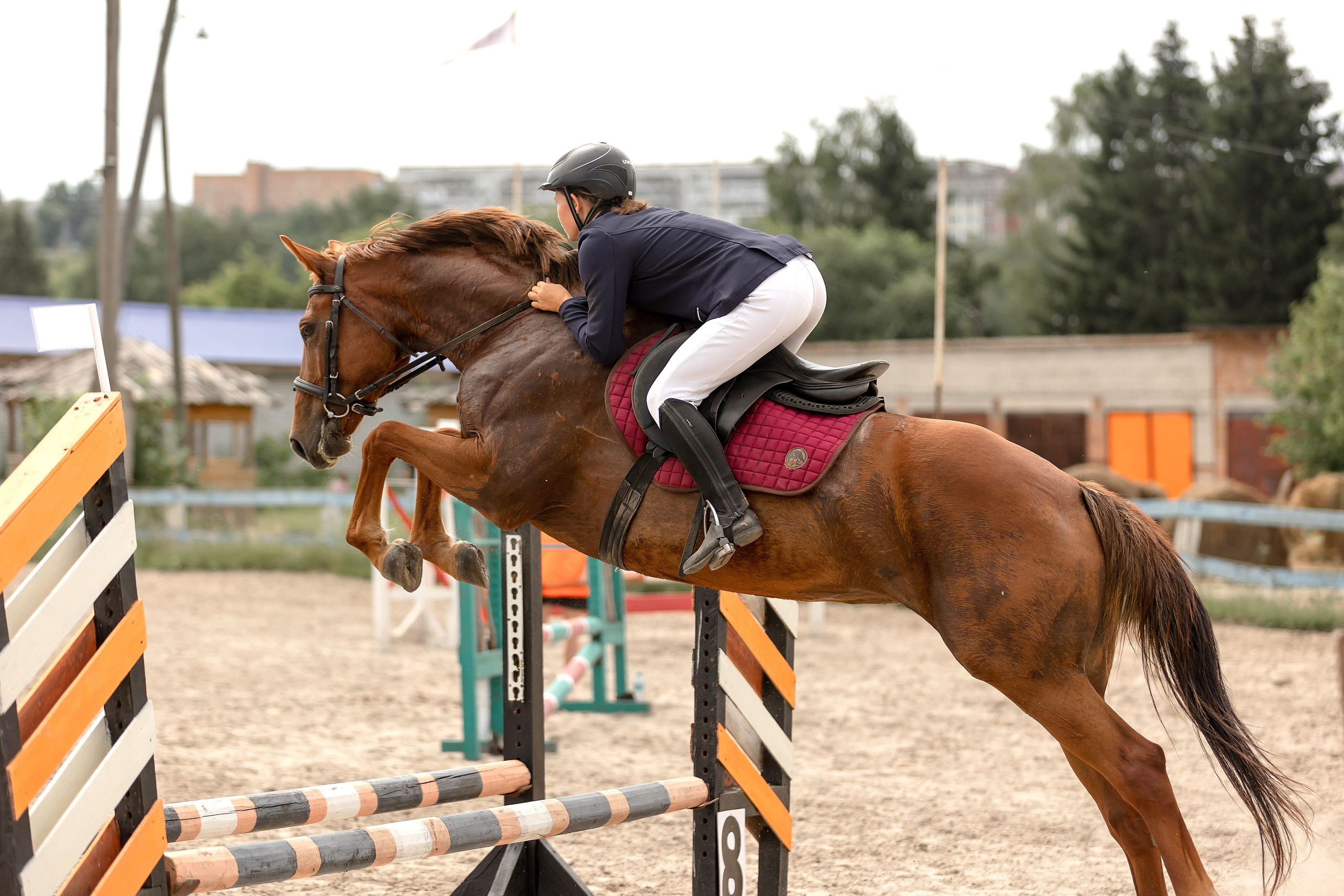 Соревнования по конному спорту. Конный фотограф Валынкина Лера