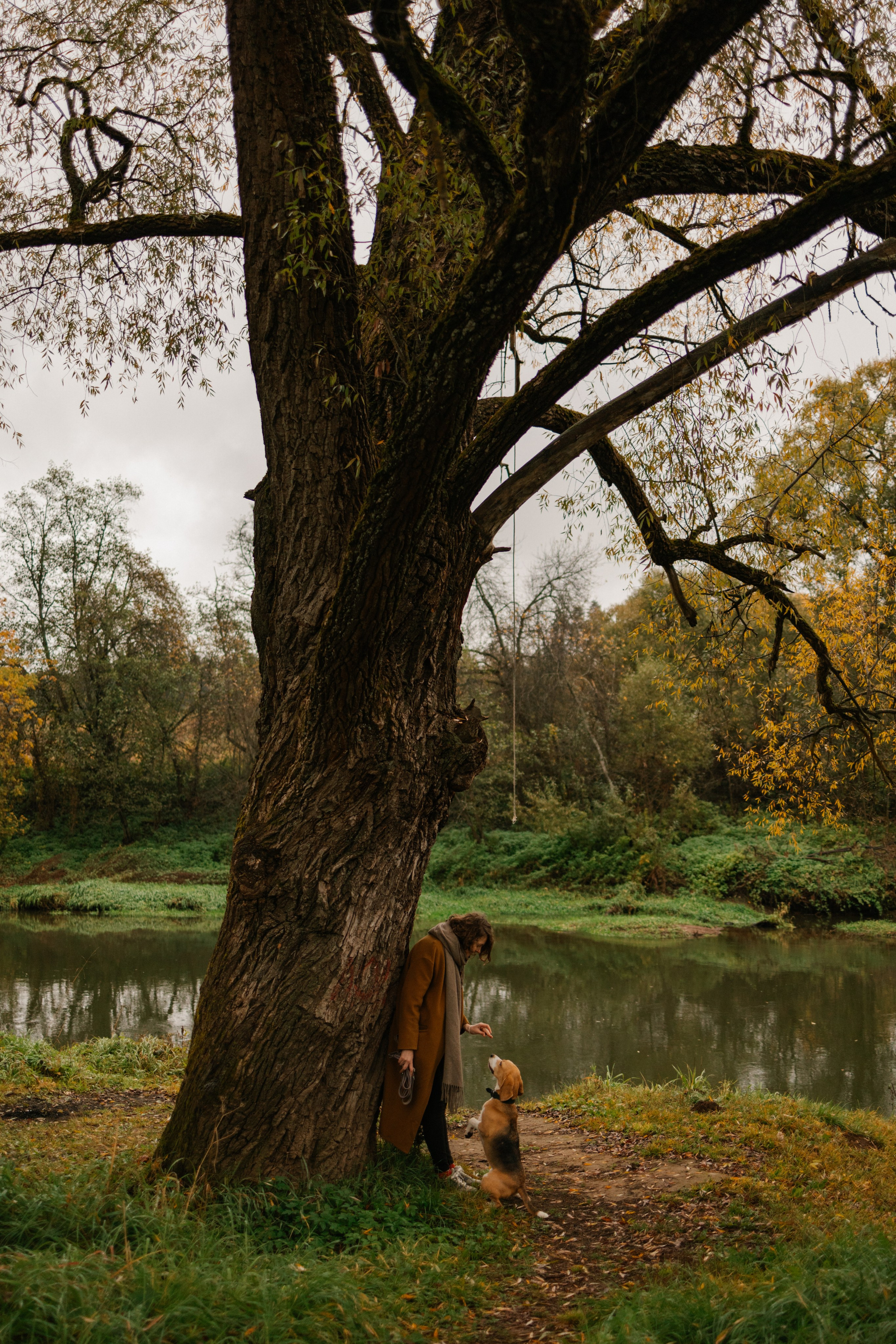 Лена и Тайгер. Фотограф — Анималист | Санкт-Петербург