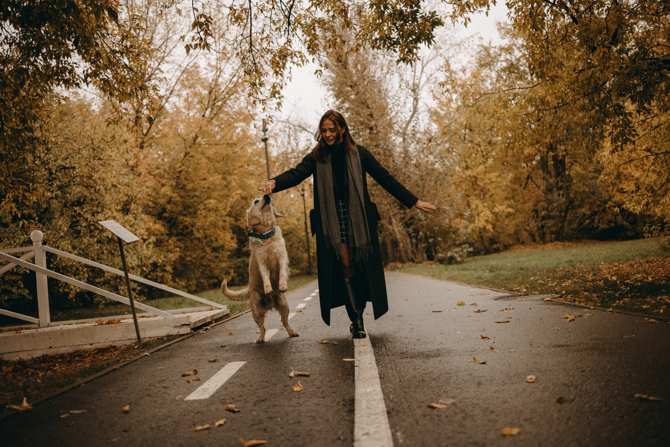 Женя и ее девочки. Фотограф — Анималист | Санкт-Петербург