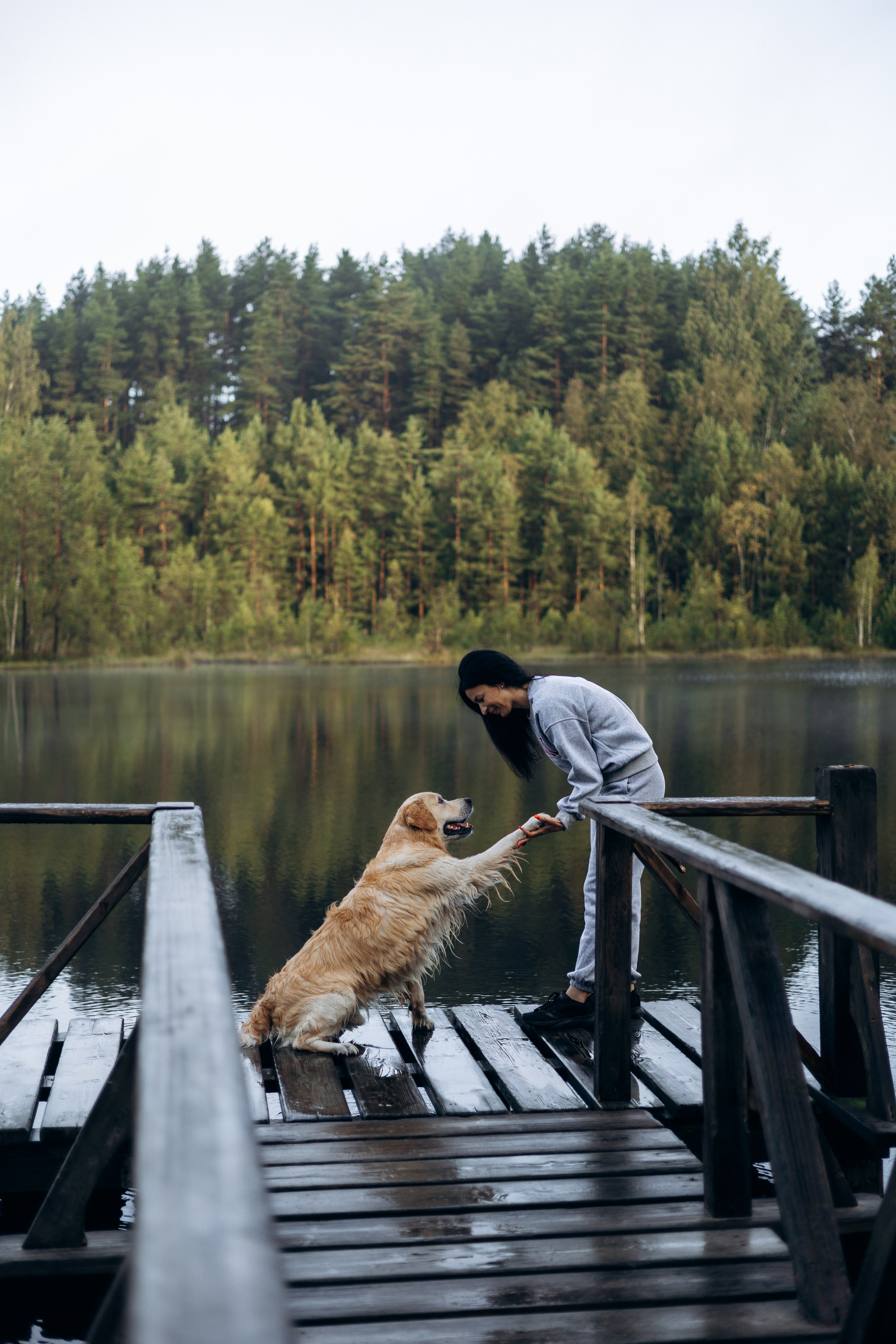 Лёва и его семья. Фотограф — Анималист | Санкт-Петербург