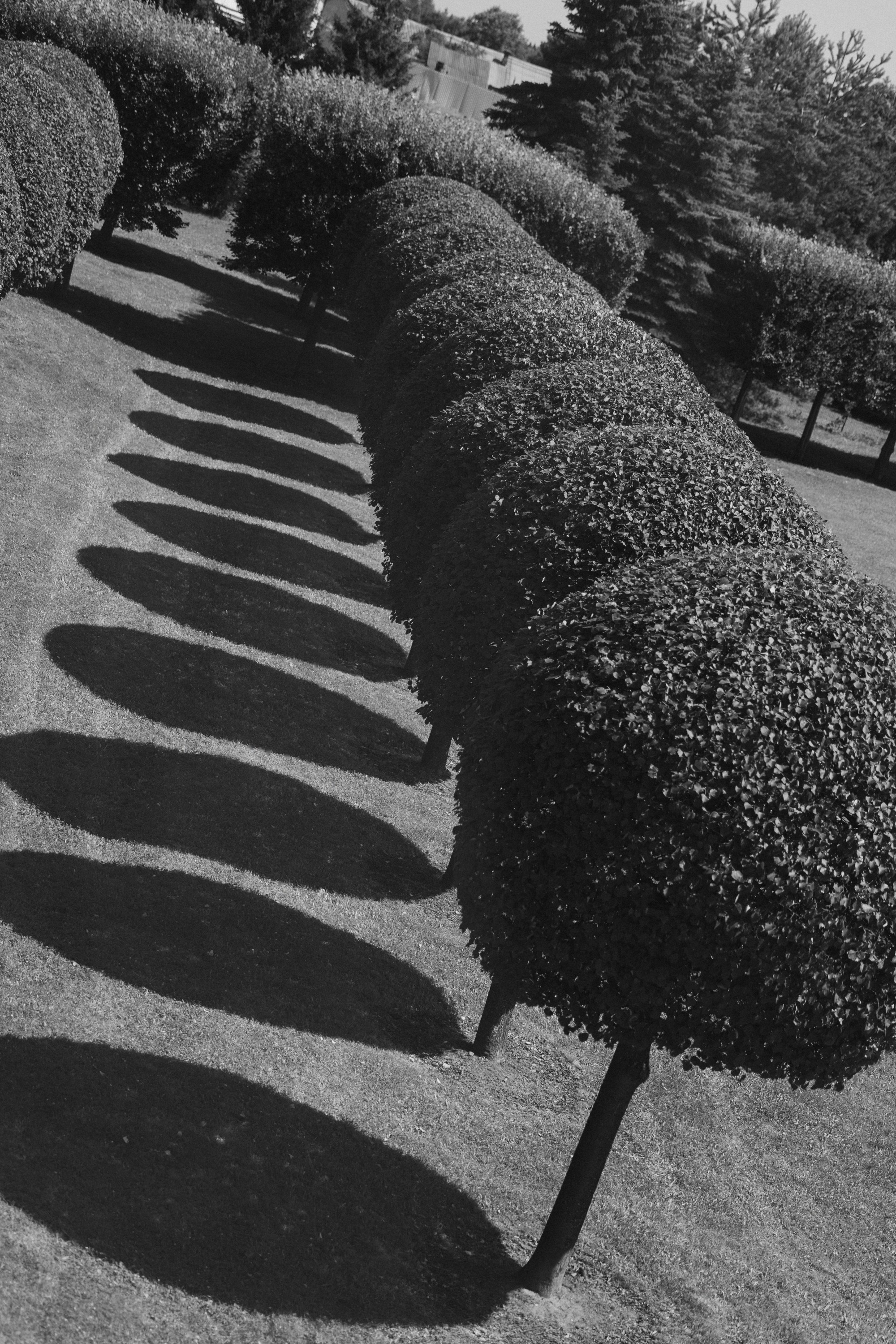 CLASSIC. Свадебный фотограф в Москве Александр Рыжков