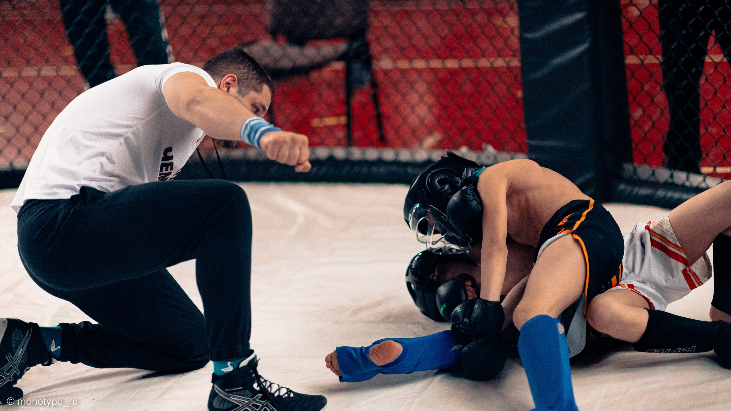 MMA. Бойцовский турнир